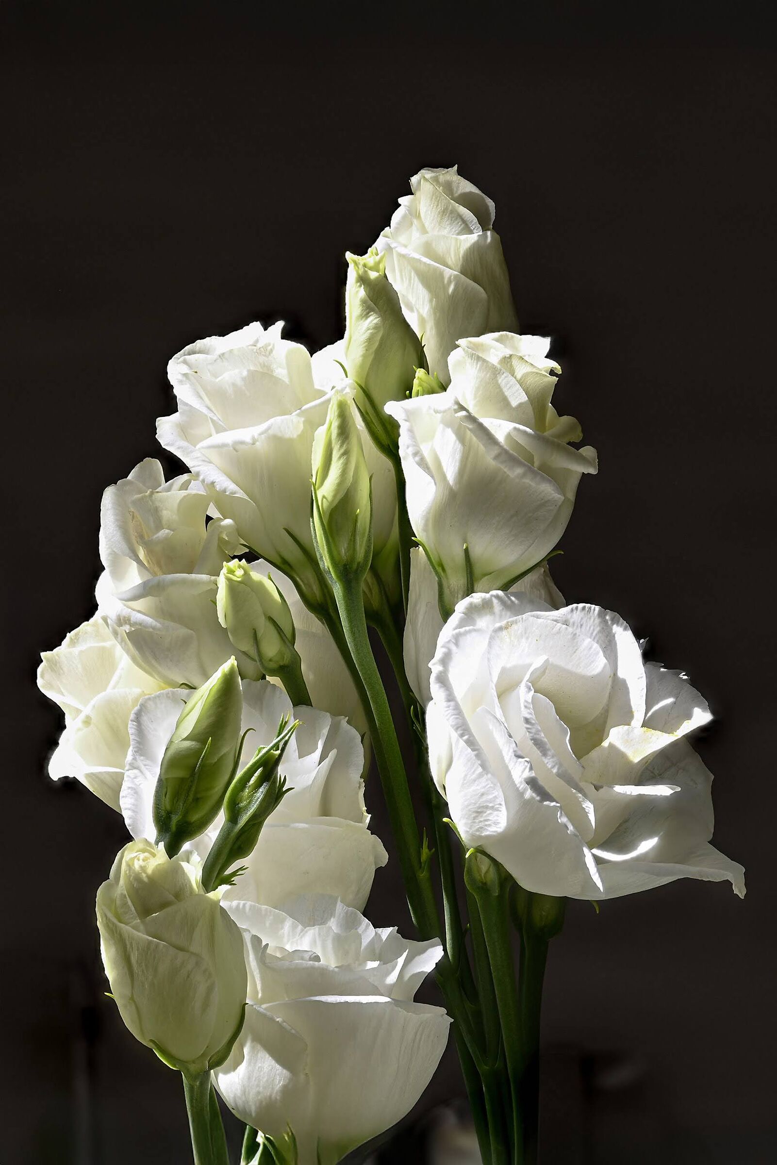 Happy Easter holidays