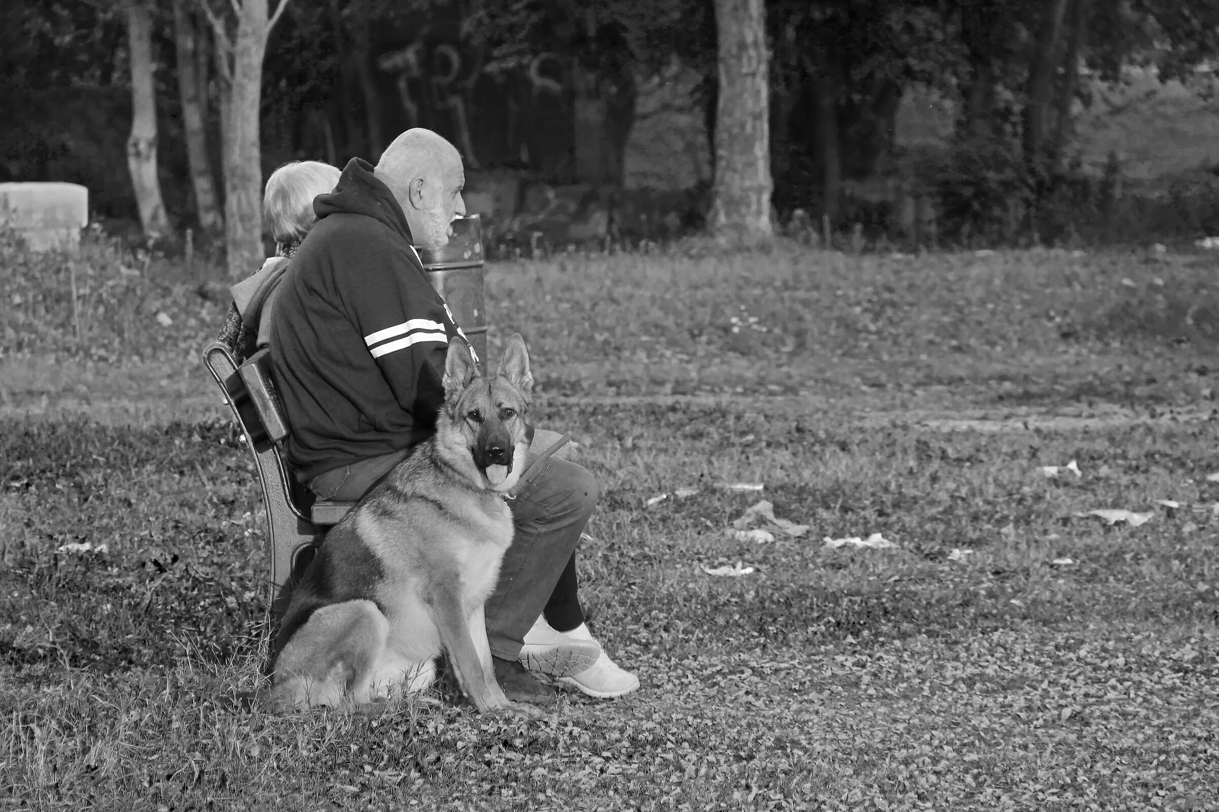 Con Rintintin. Meglio bene accompagnati che soli...