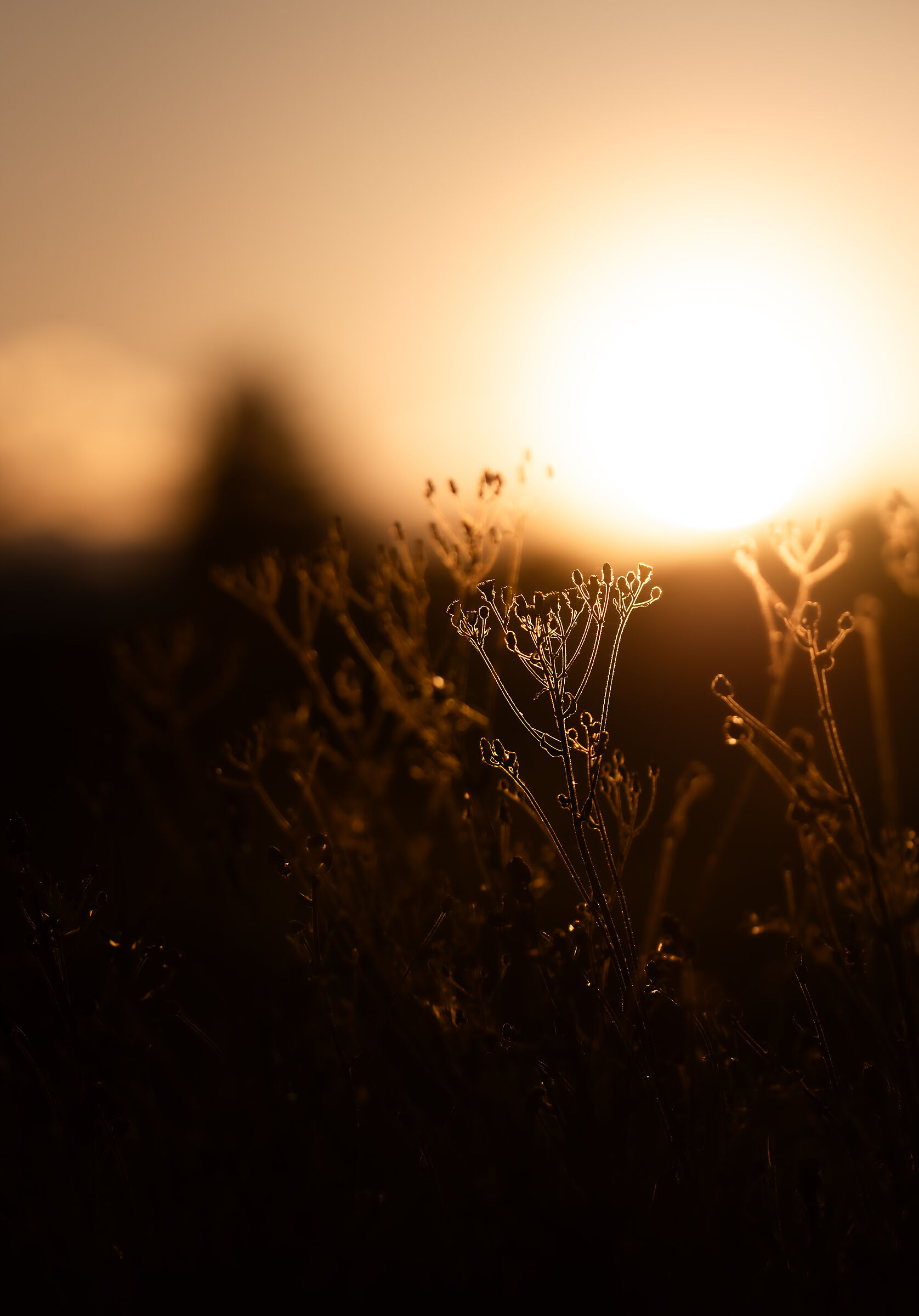 L'ultima luce