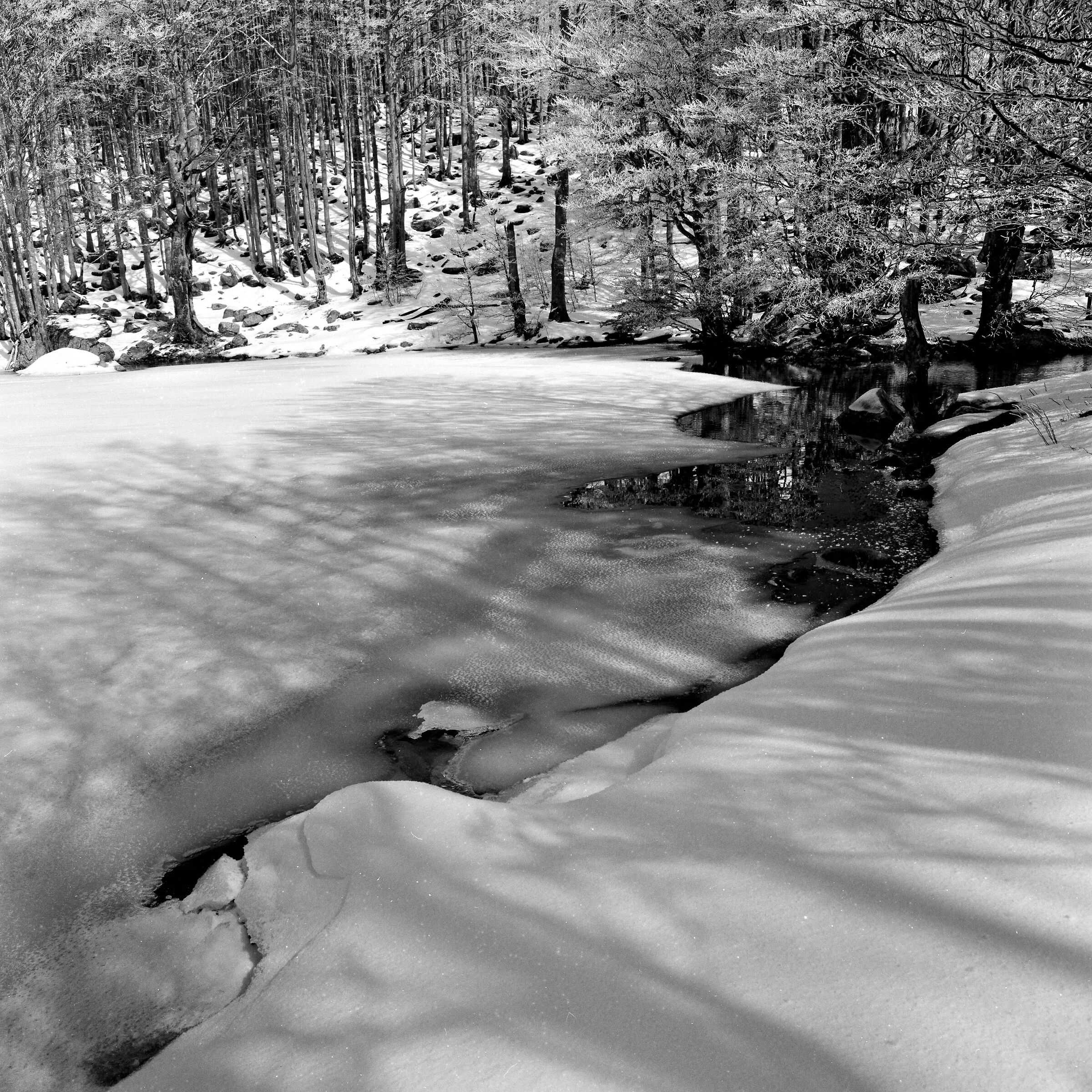 Dark Lake Alta Val Parma