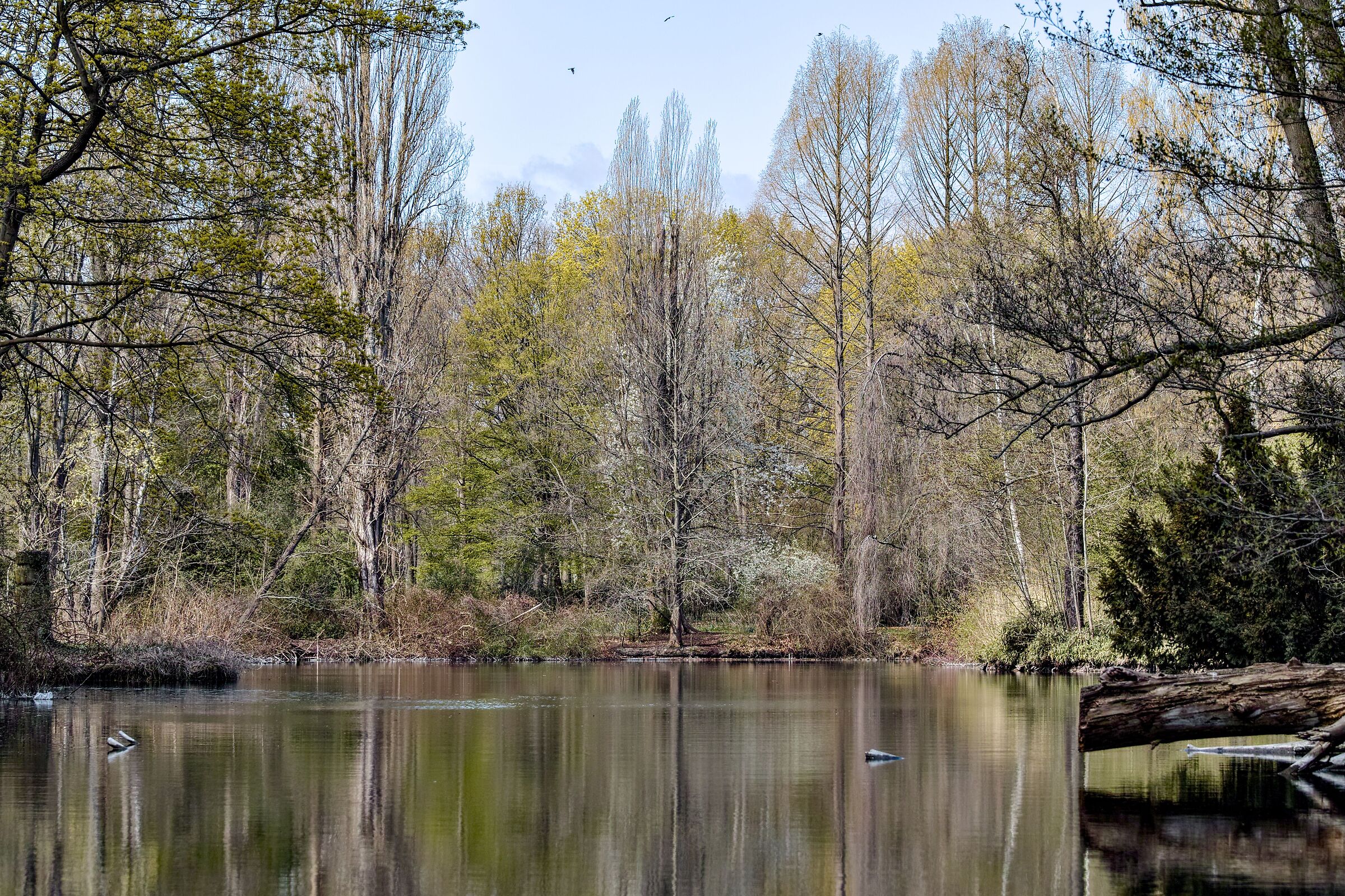 Tiergarten Berlin