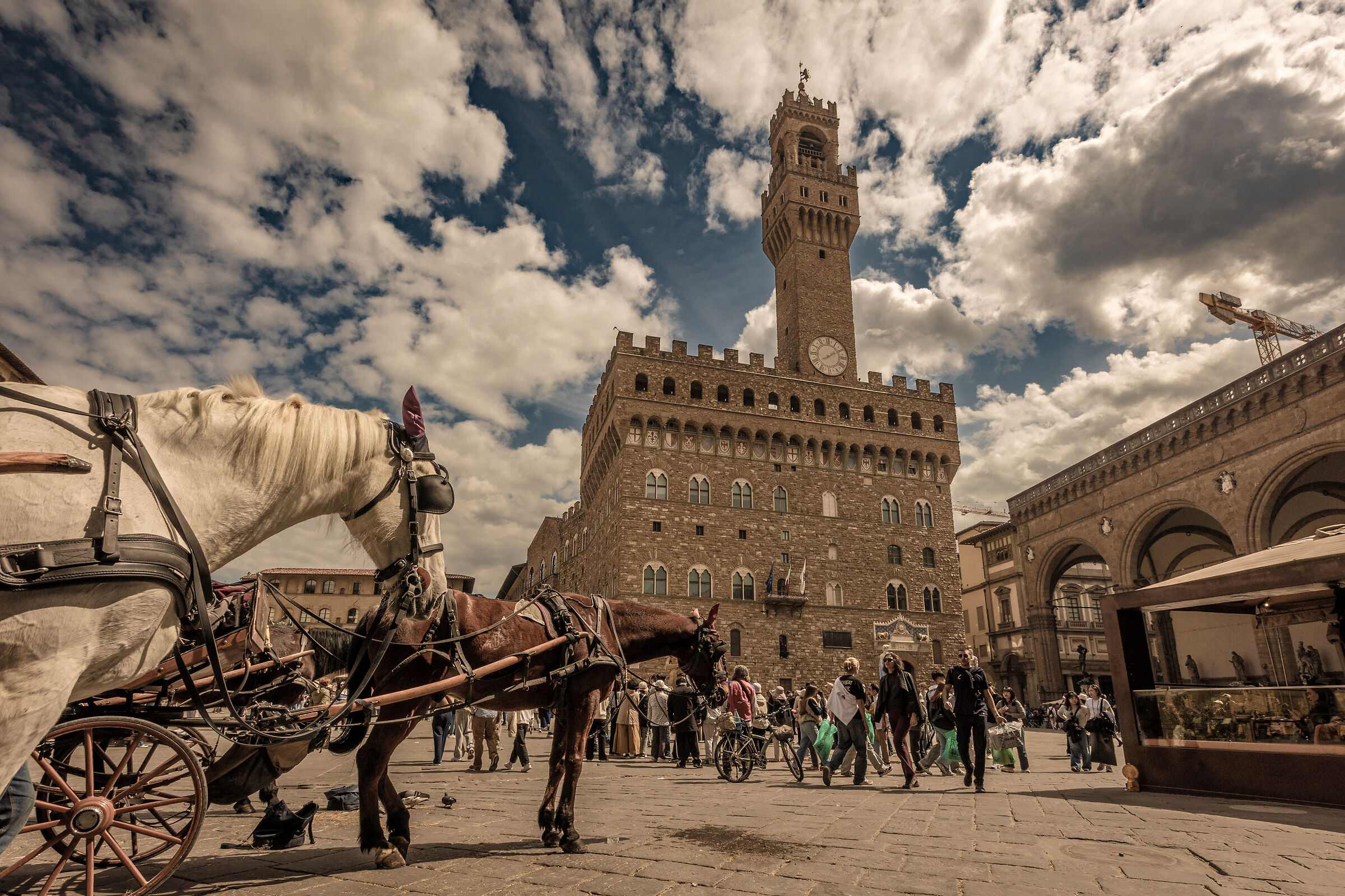 Firenze - Palazzo Vecchio