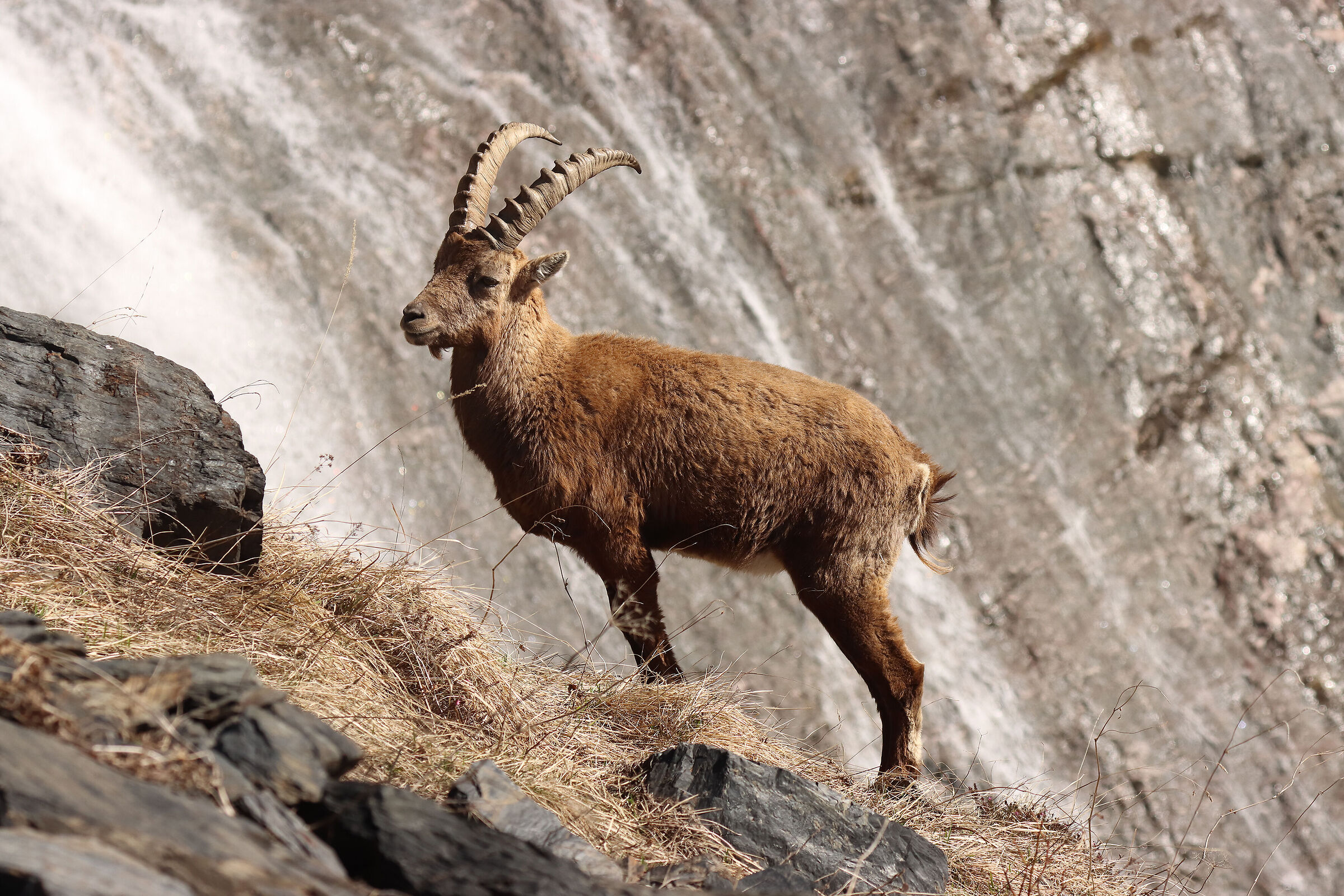 in "posa" alle cascate