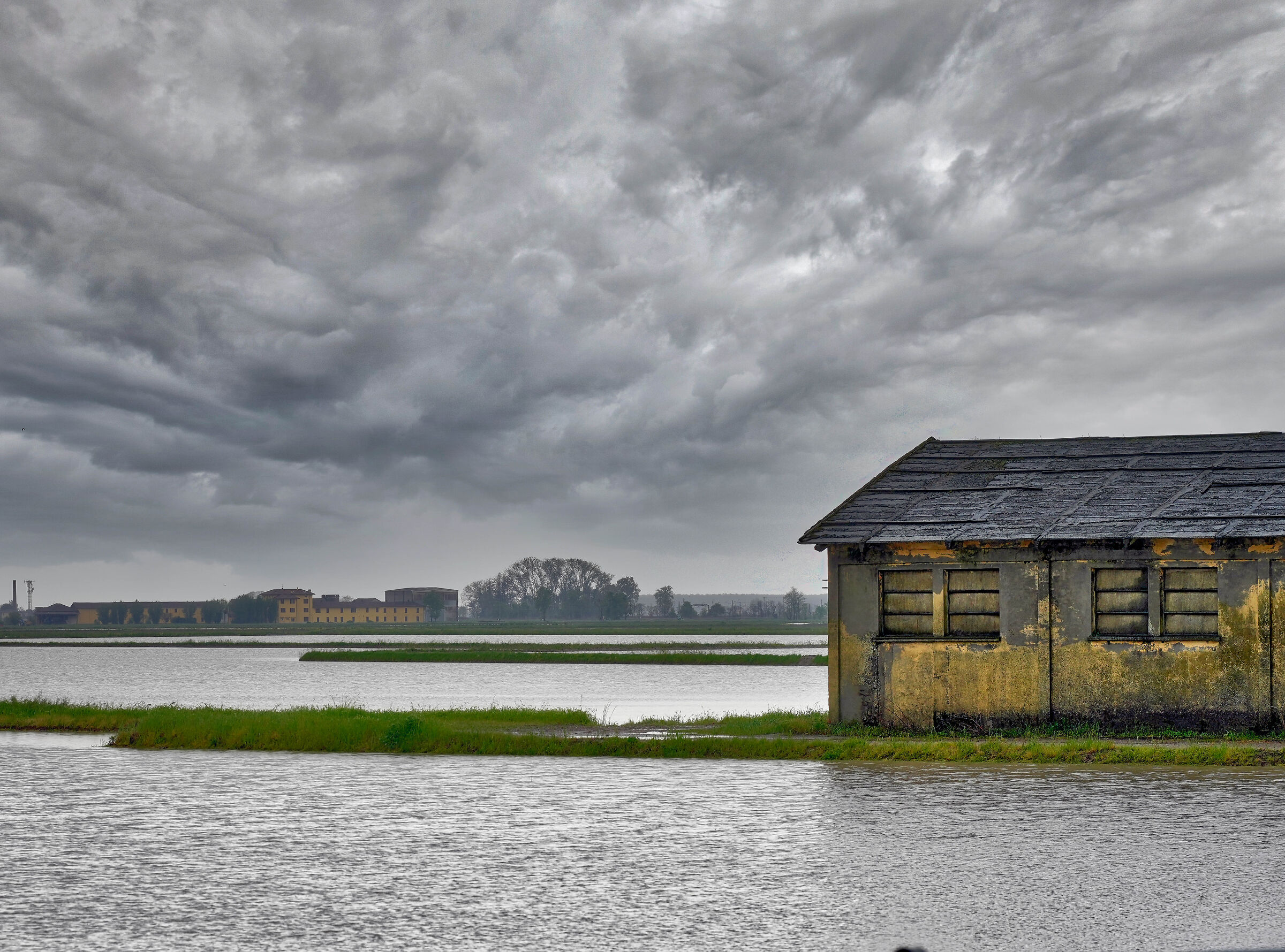 Quest'anno le risaie si riempiono da sole.....
