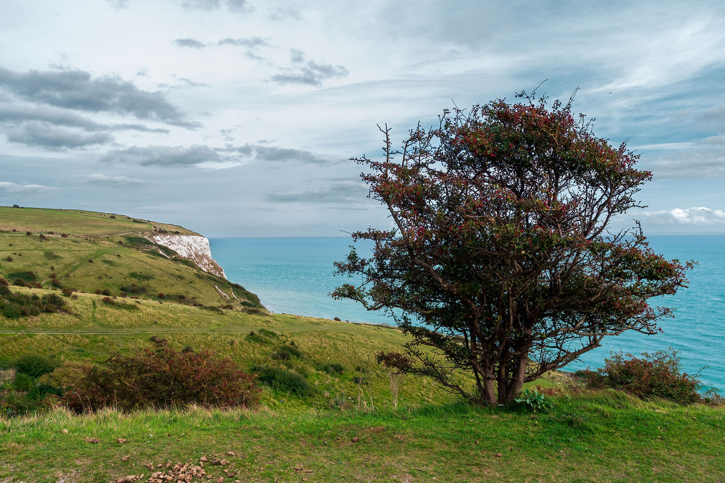 ...e in lontananza le scogliere di Dover