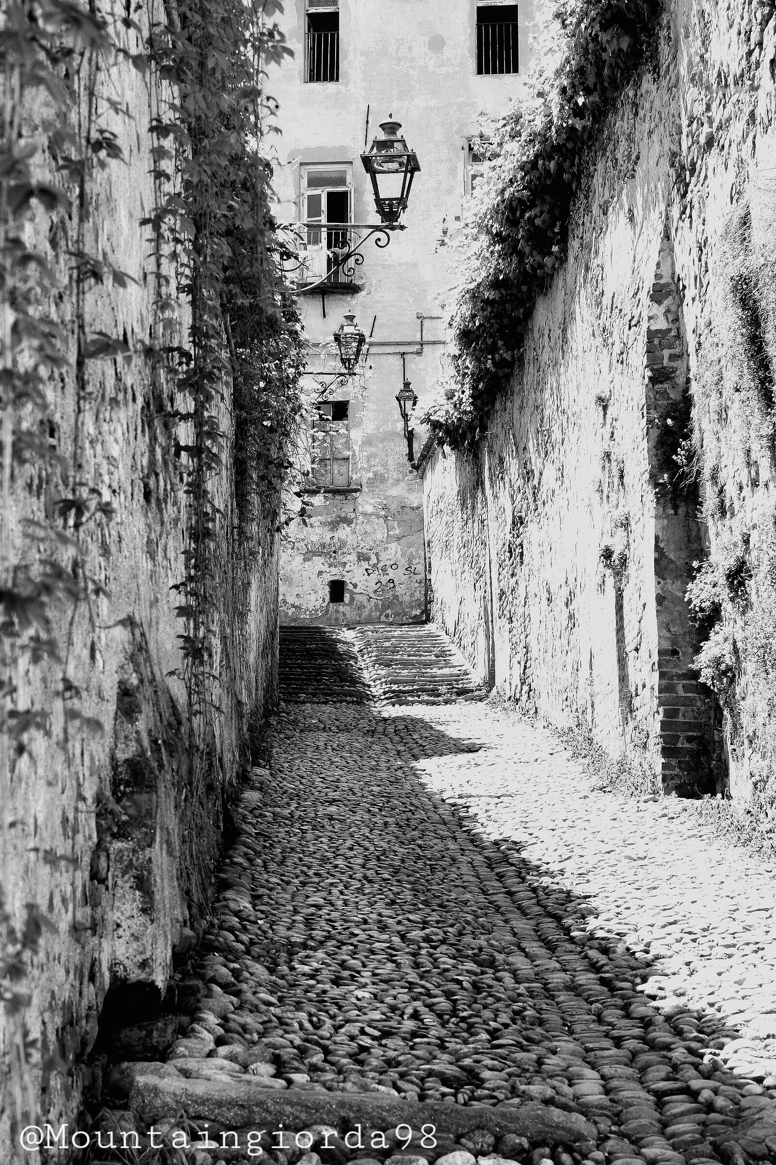 Saluzzo Street