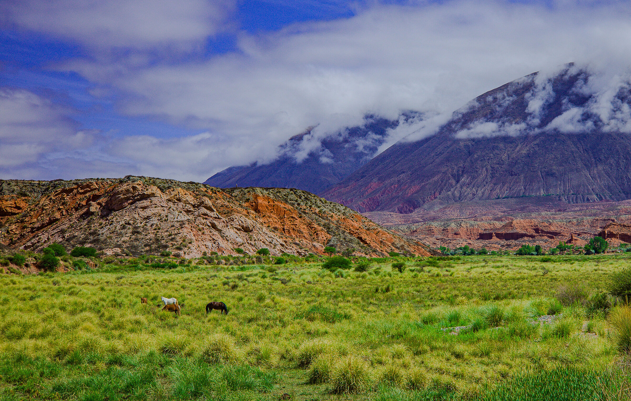 Patagonia