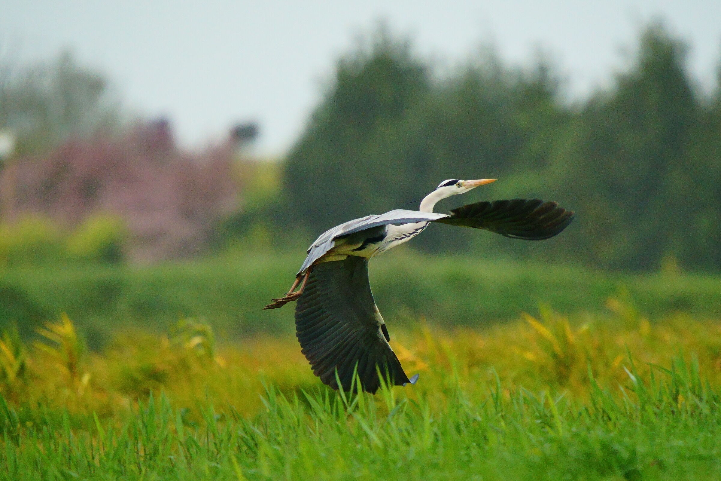 Take-off