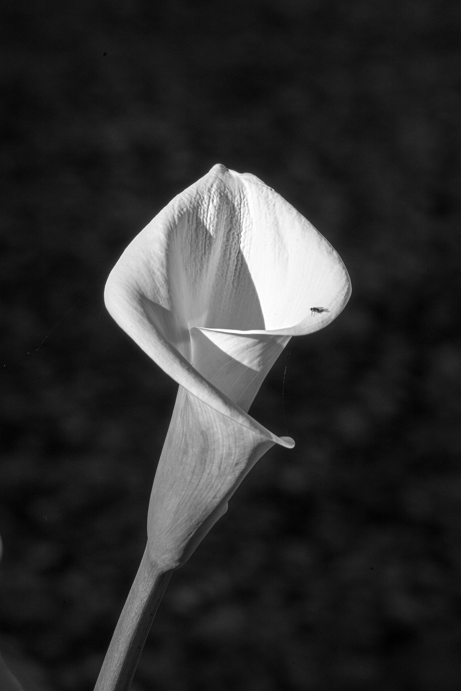 Untitled Photo