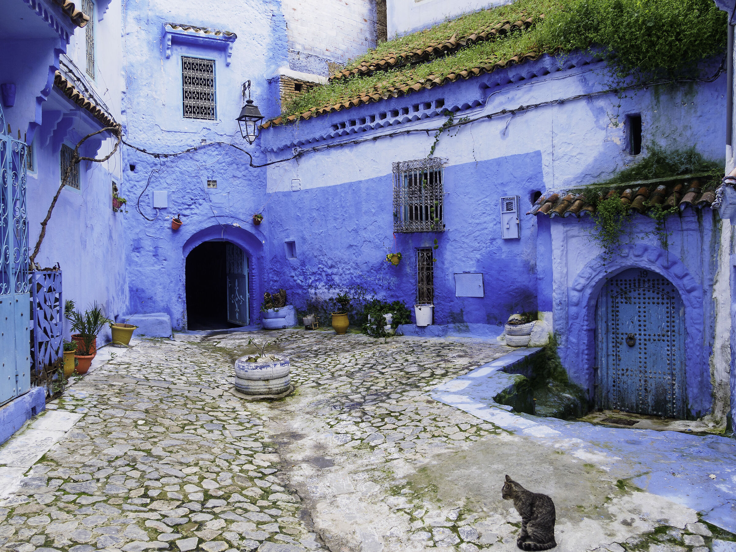 Chefchaouen - Morocco
