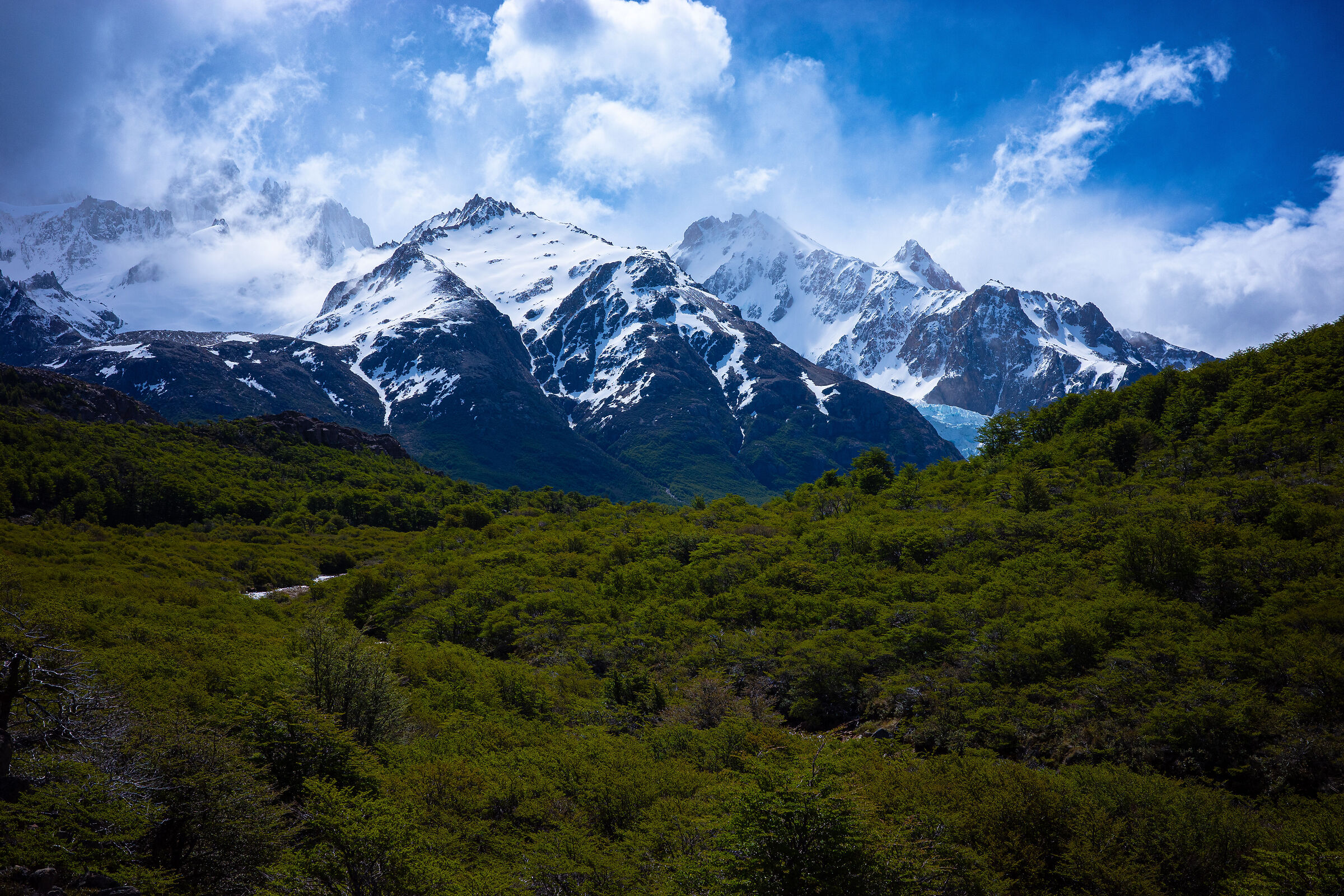 Patagonia