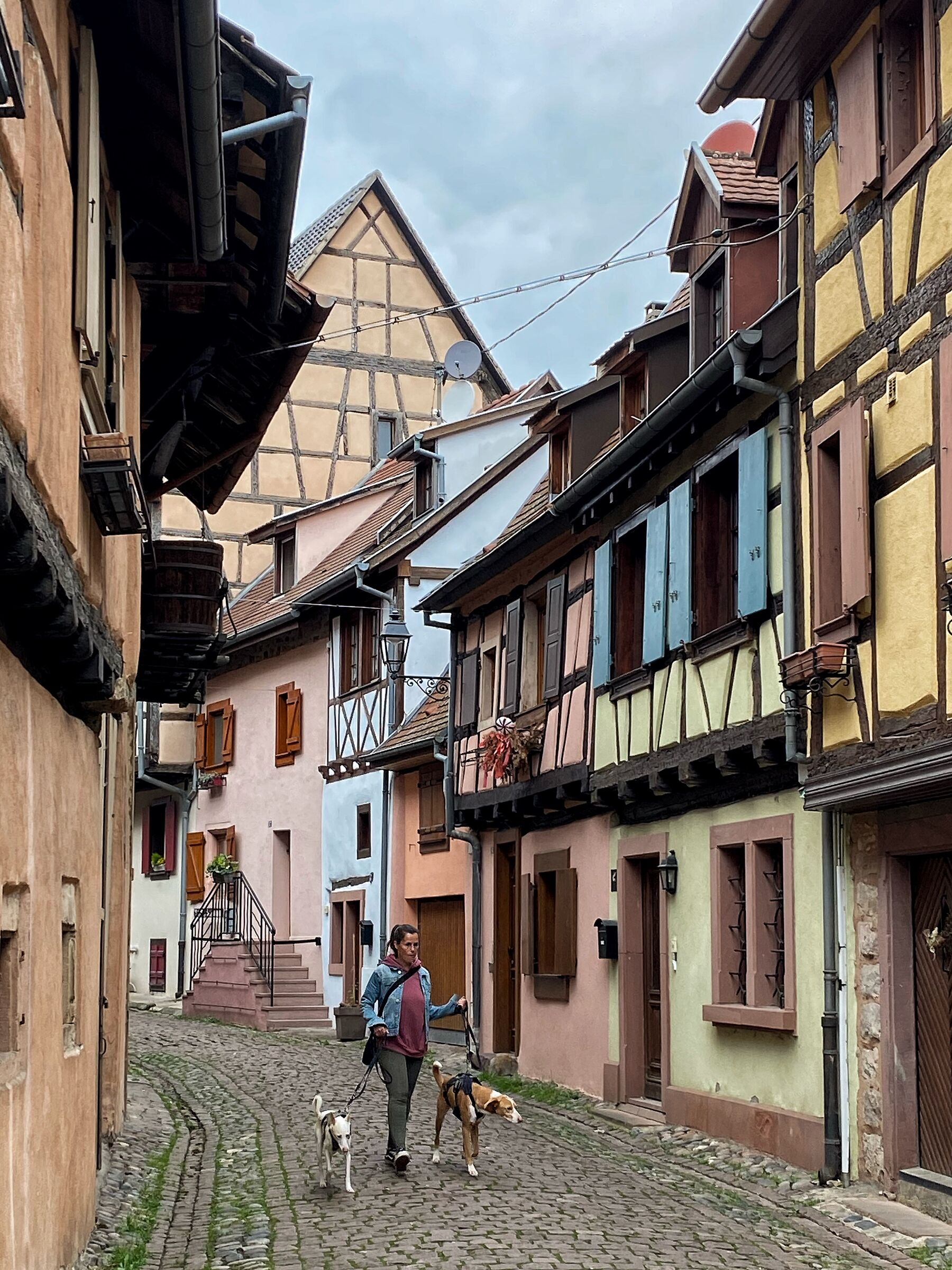 France - Eguisheim