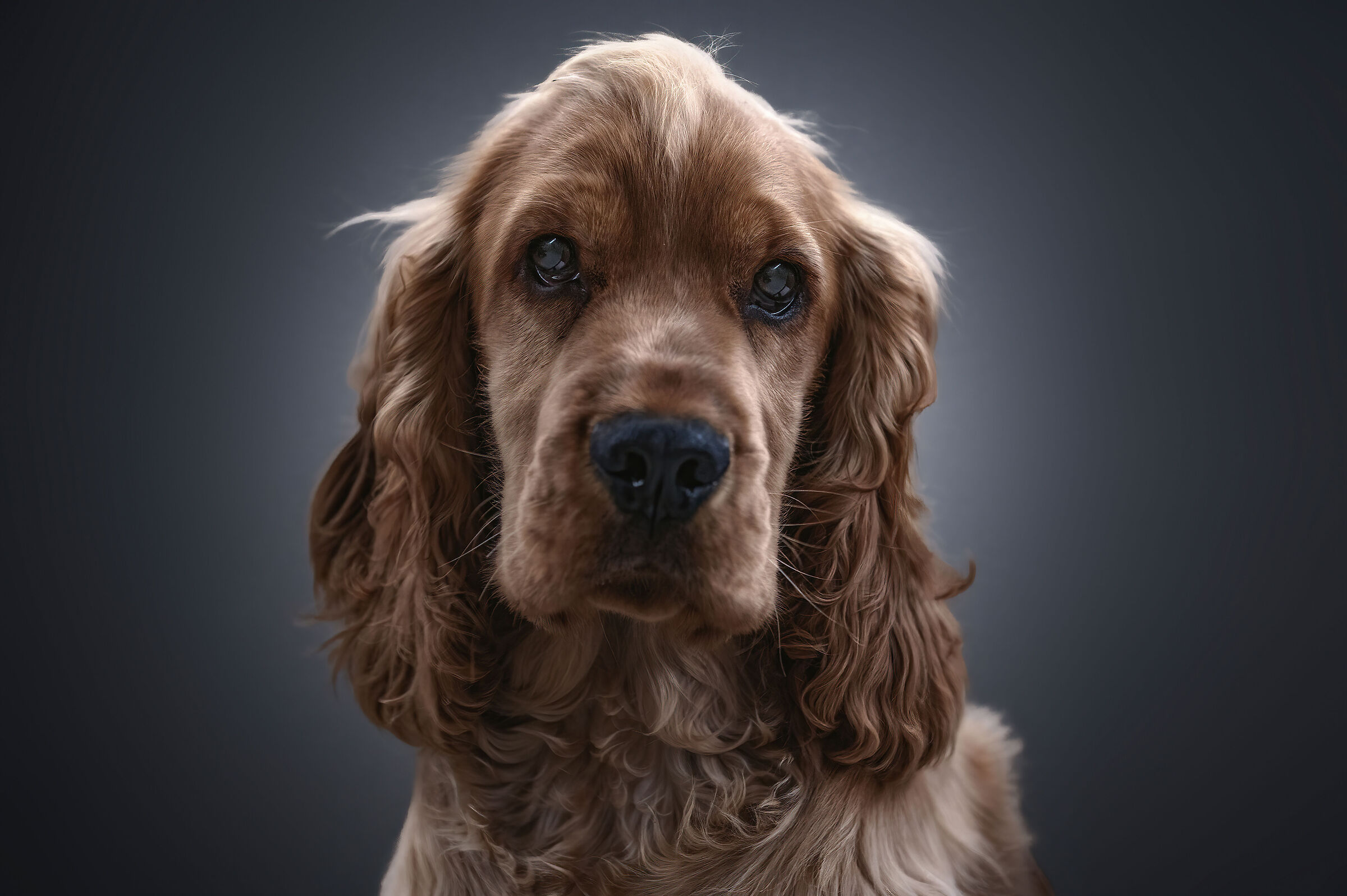 Caesar