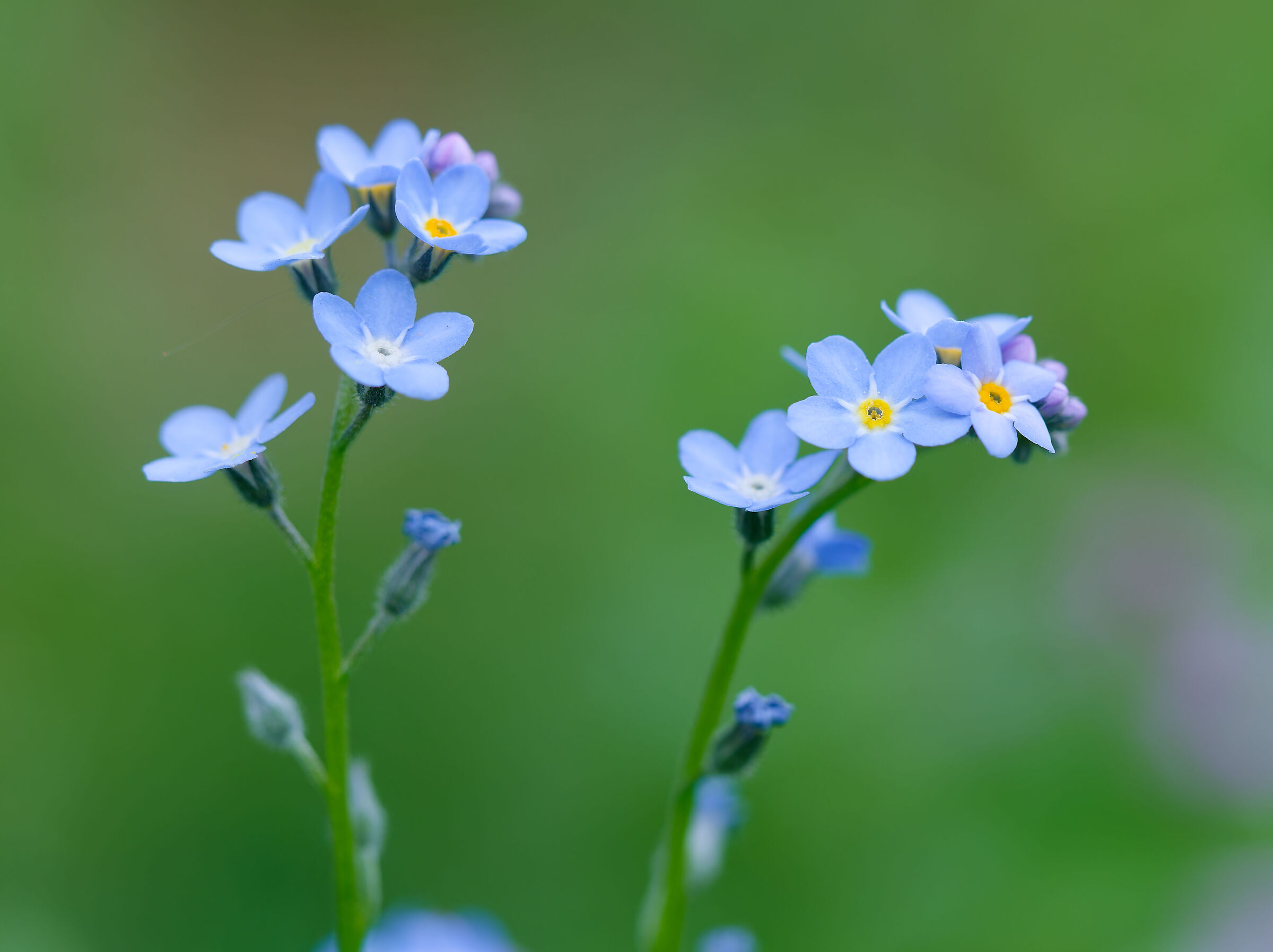 Don't forget... It's spring