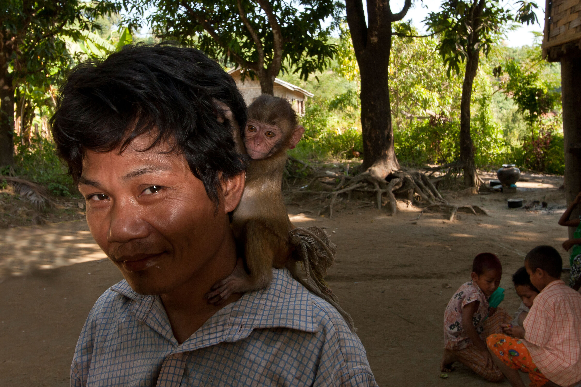 Animali da compagnia