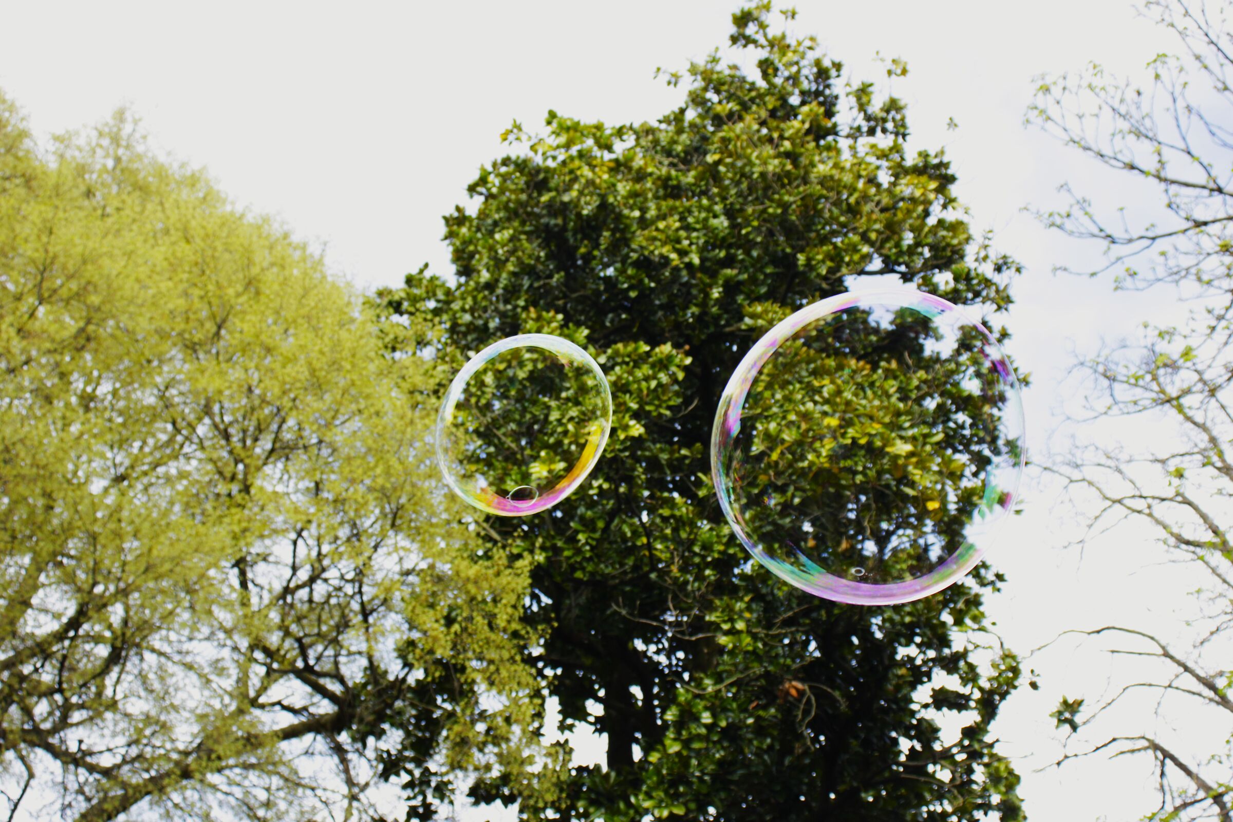 Soap Bubbles