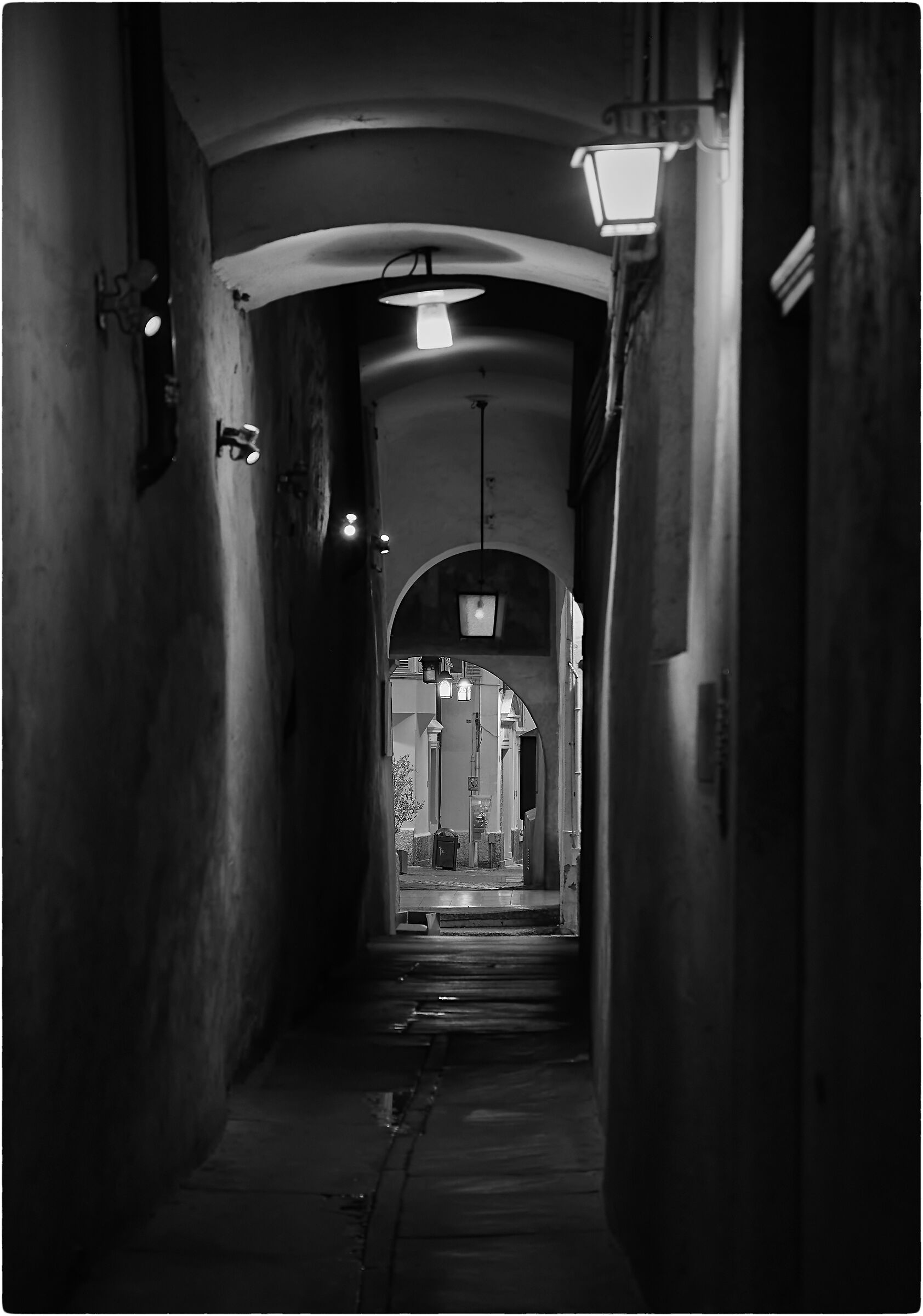 -The Gallery-