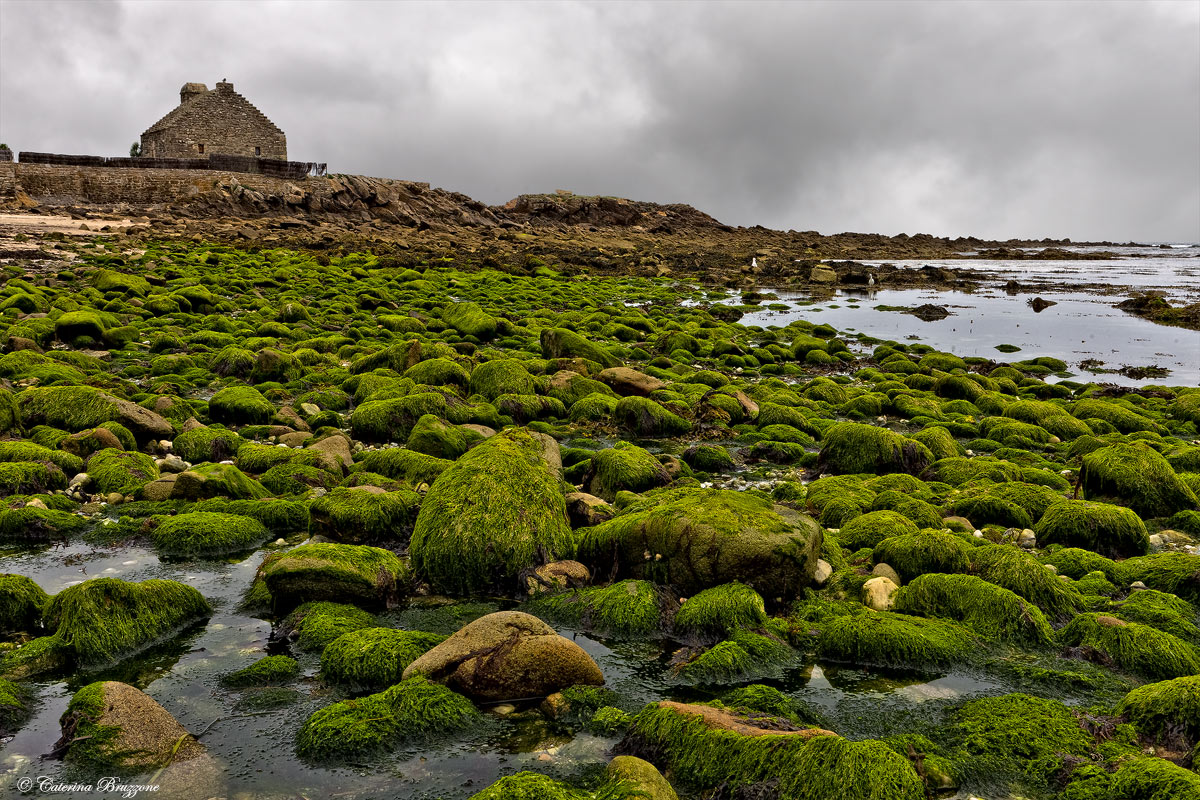 Quiberon, cote sauvage