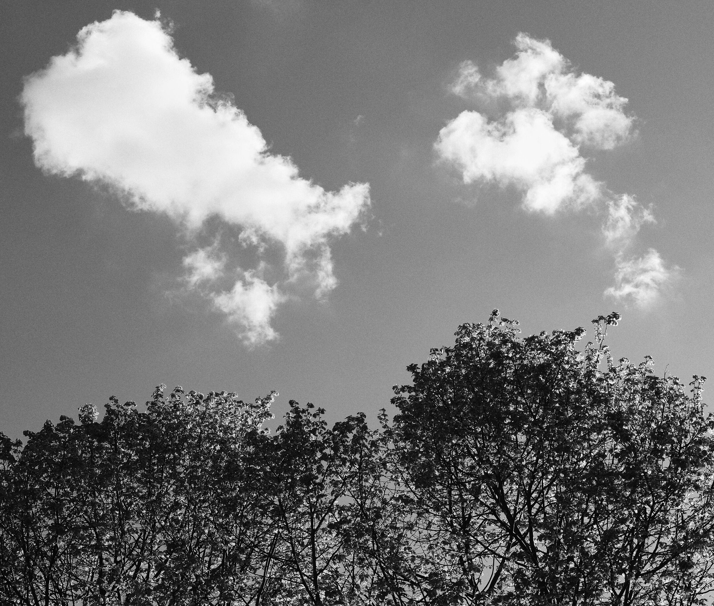 Untitled Photo