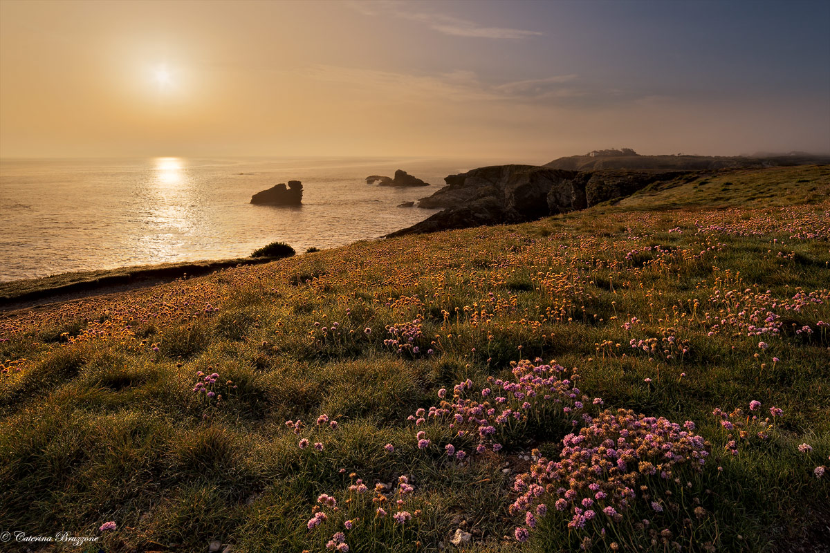 The cliffs of Pointe des Poulains dawn