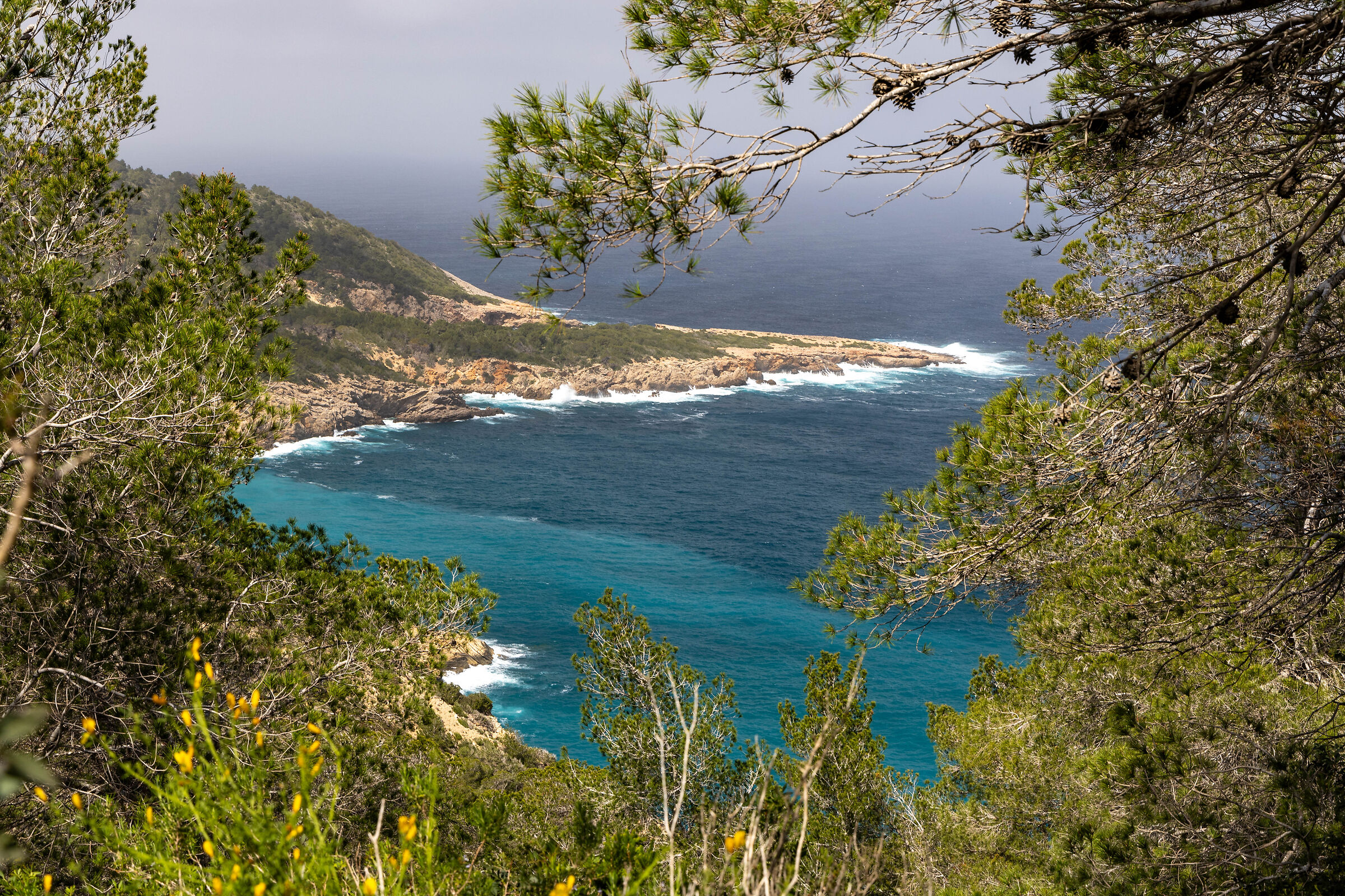 Mirador de Santa Punta