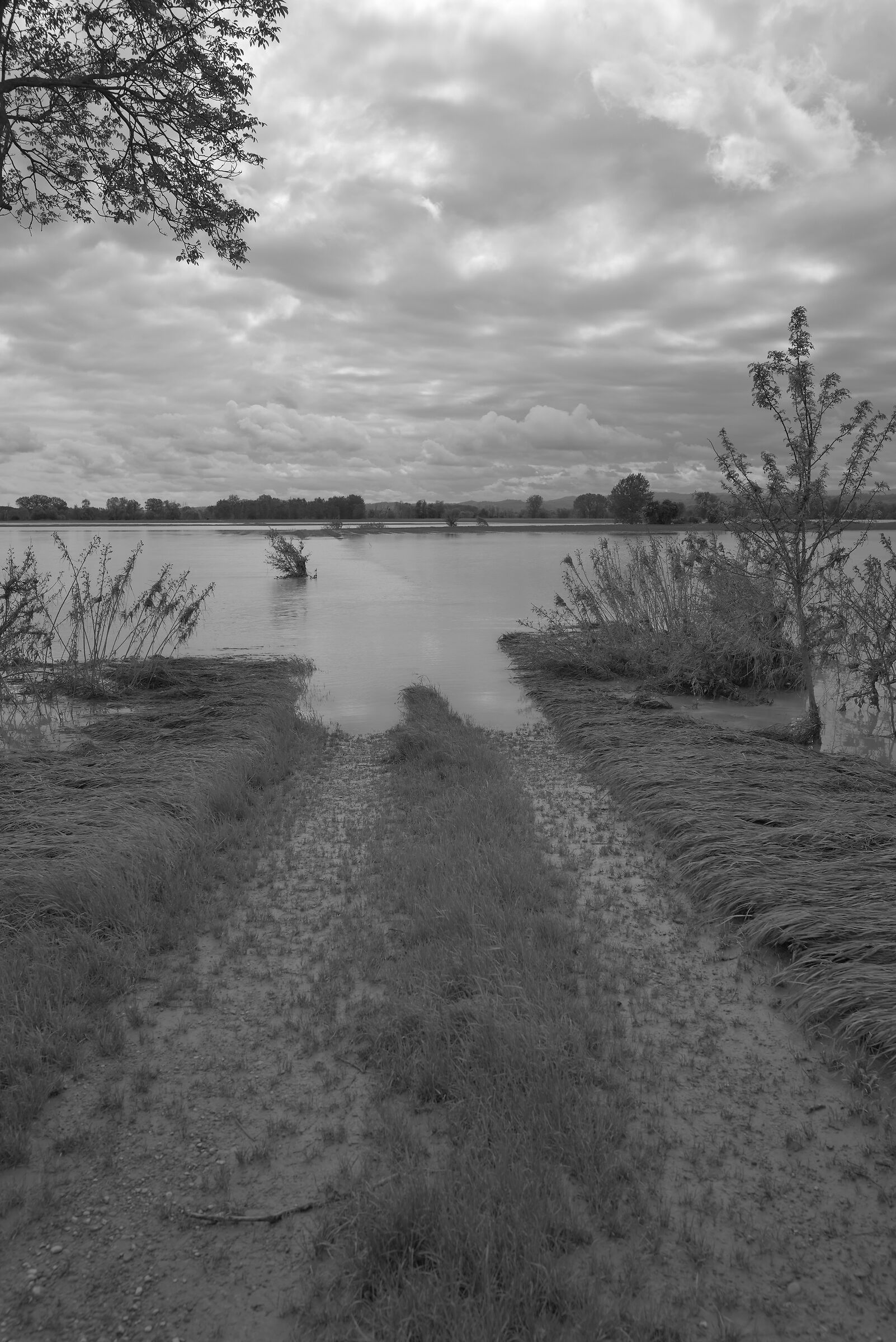 the Po, just behind the house