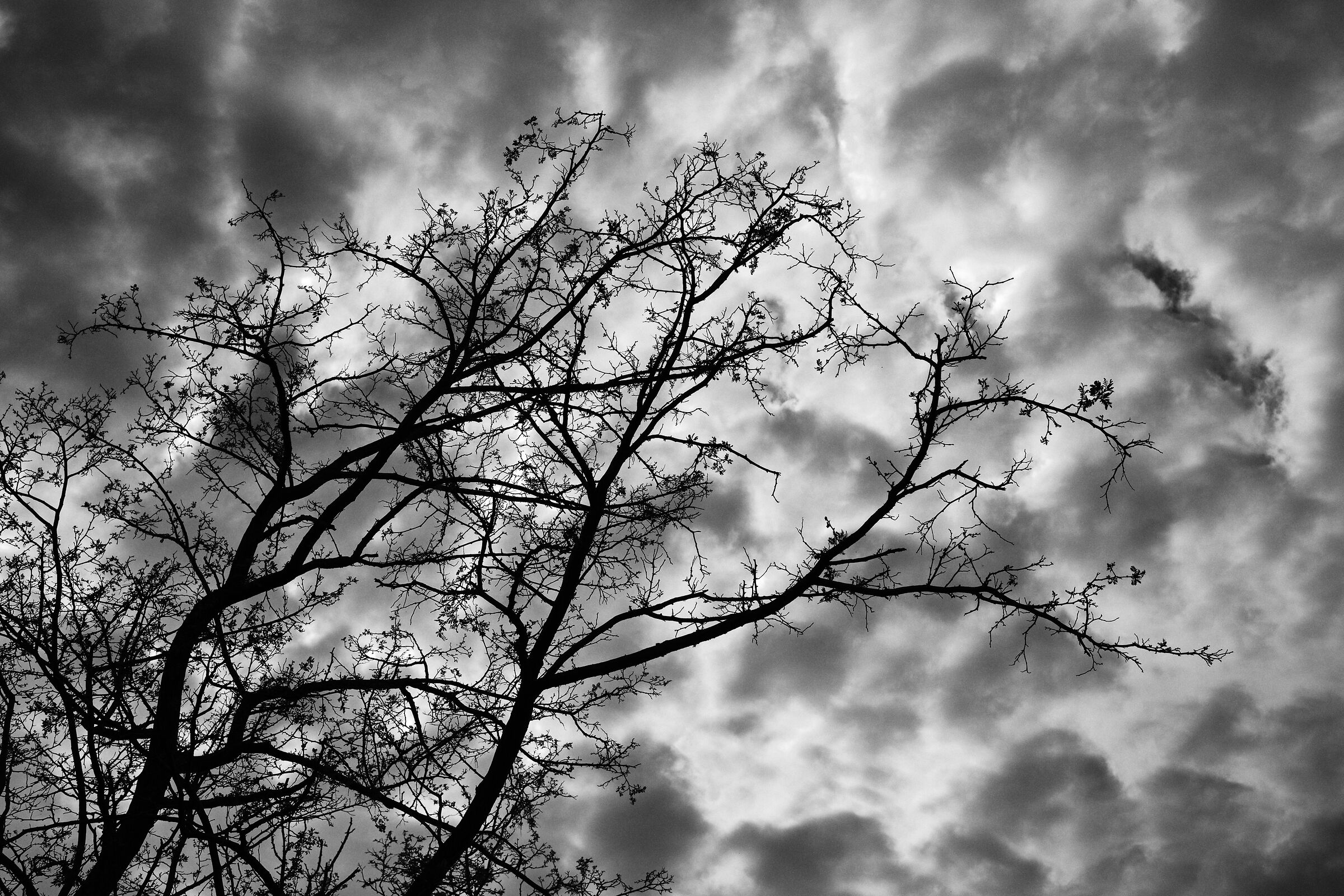 Untitled Photo