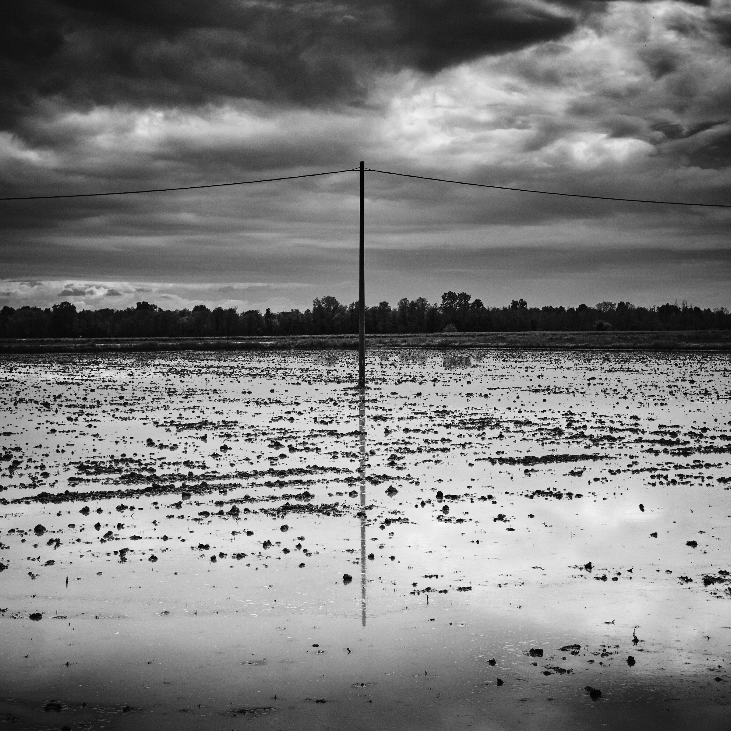 Untitled Photo