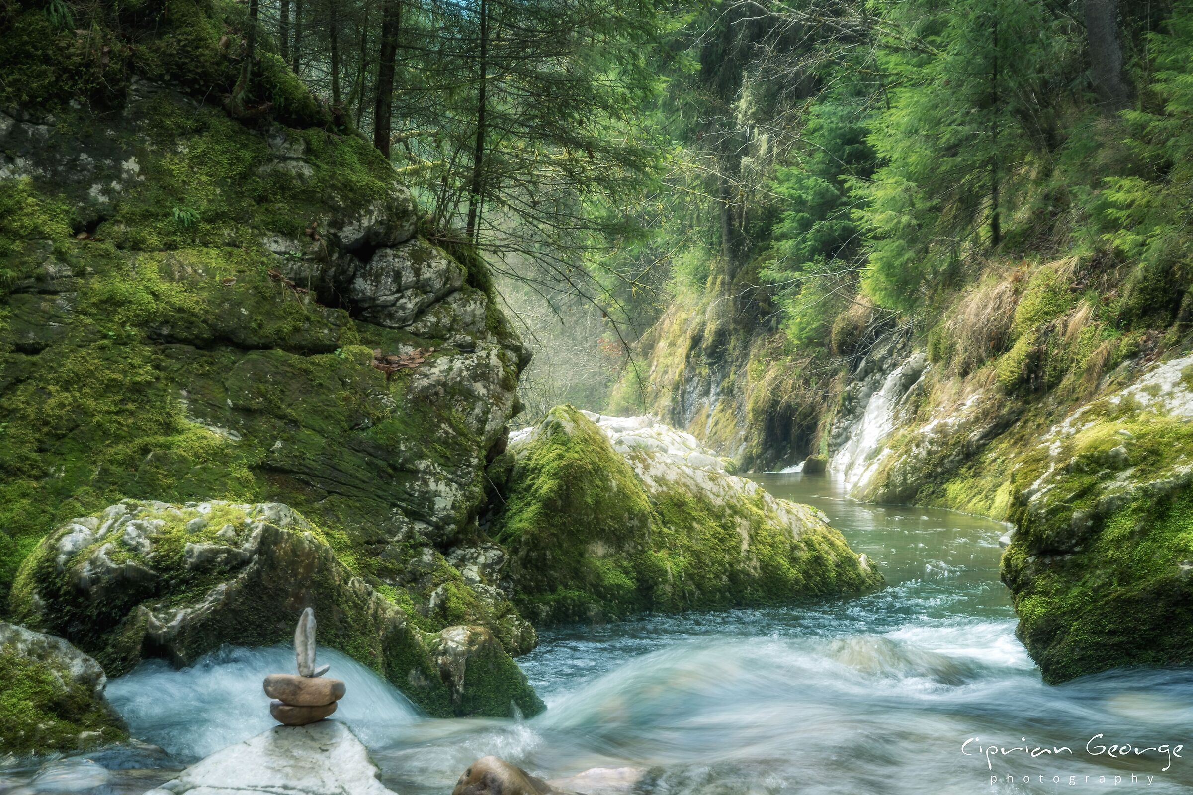 Fiume di emozioni primaverili