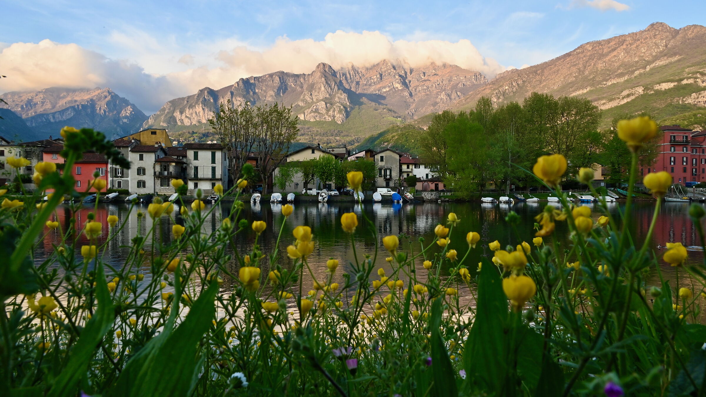 Pesoarenico in spring
