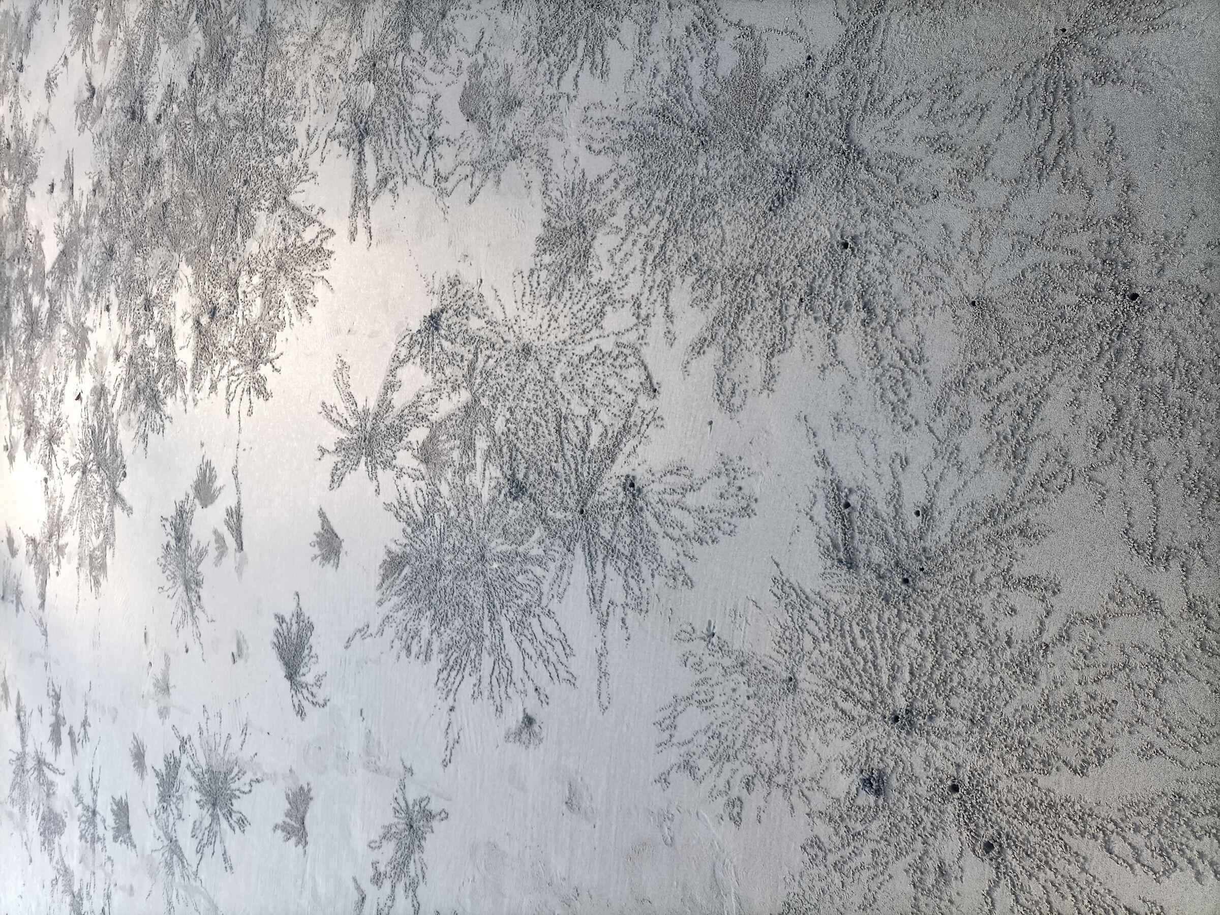 Embroidery of crab burrows. Kata Beach