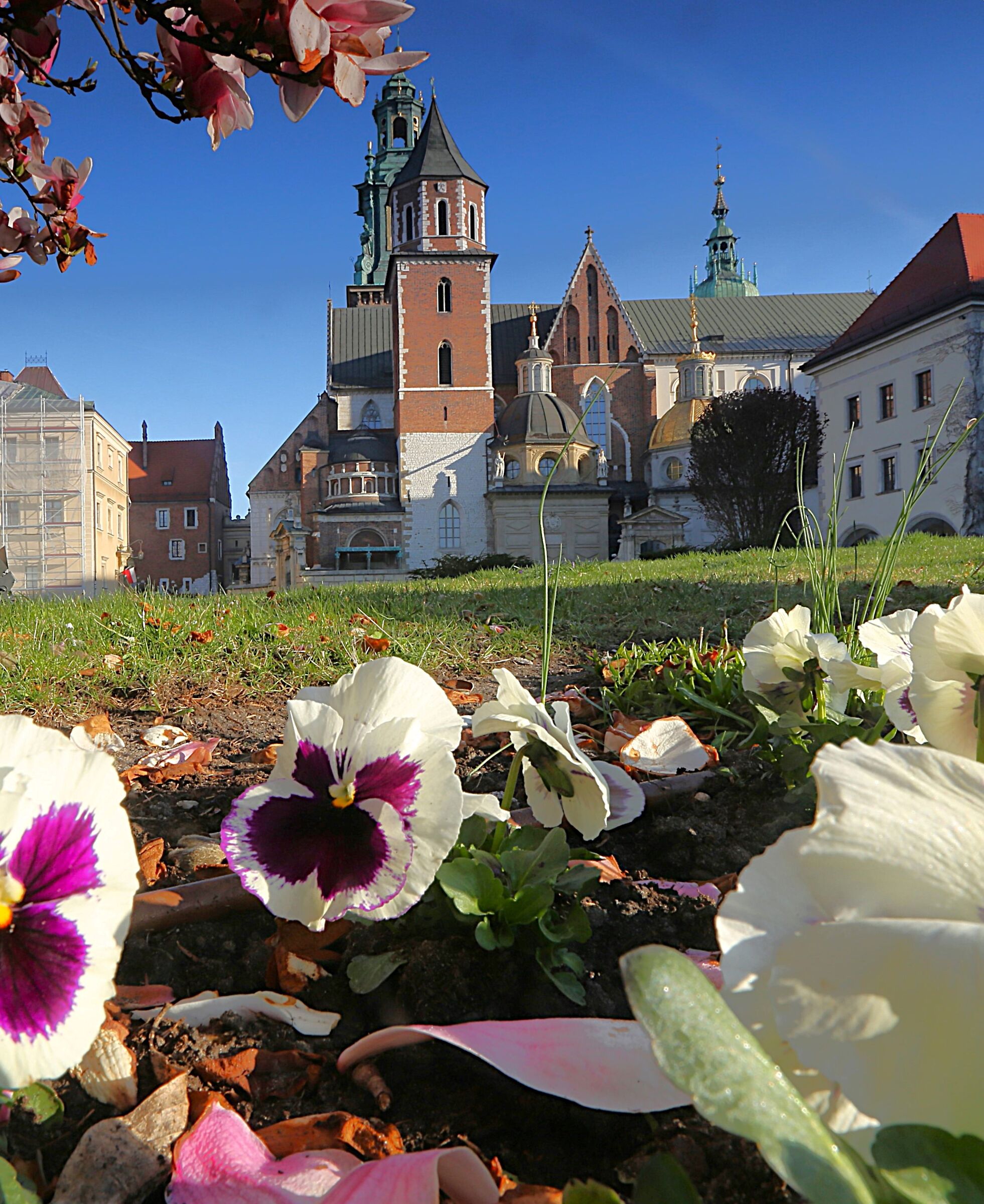 Best wishes to the Juza friends