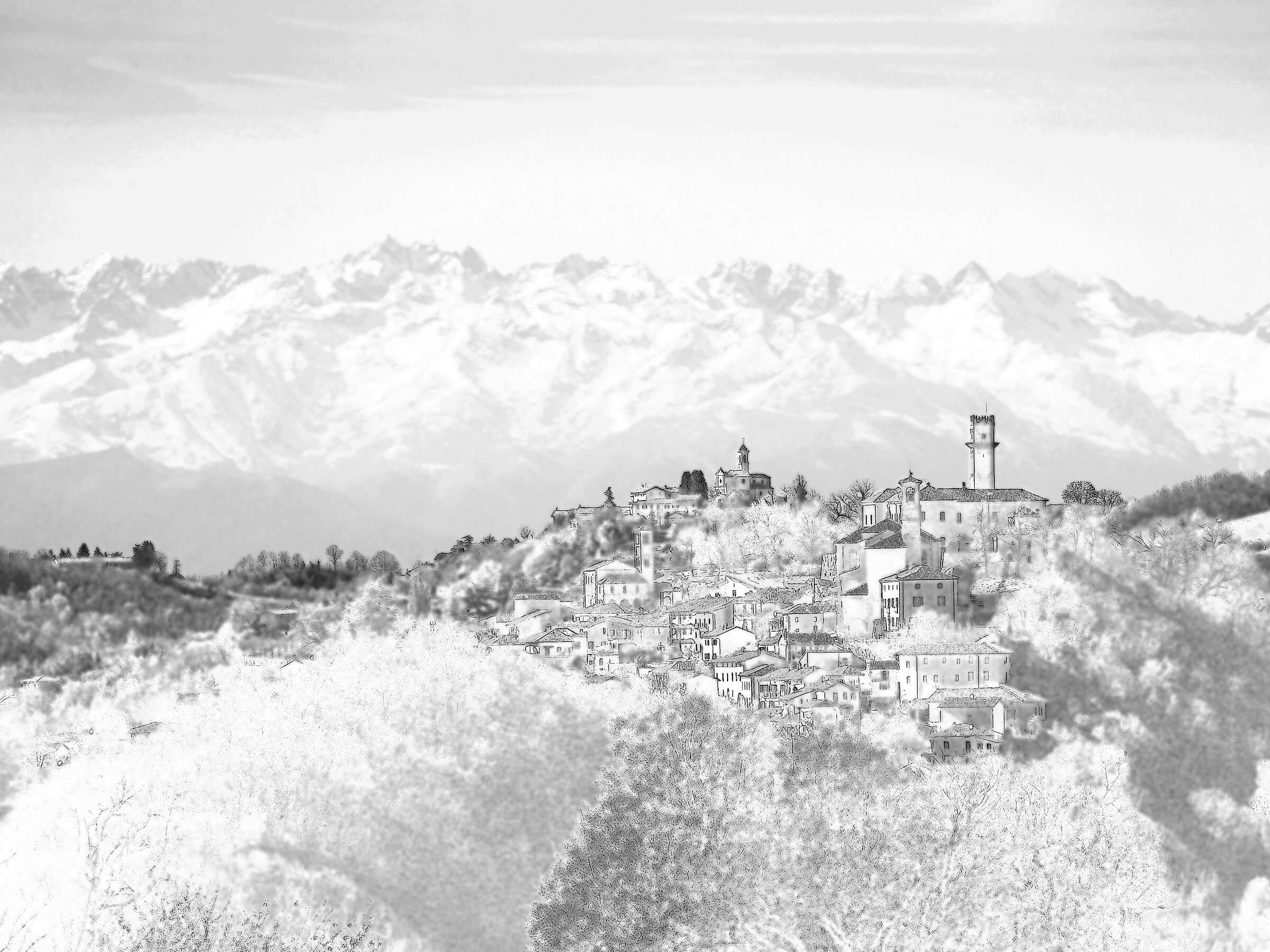 Paciocchi Pasquali