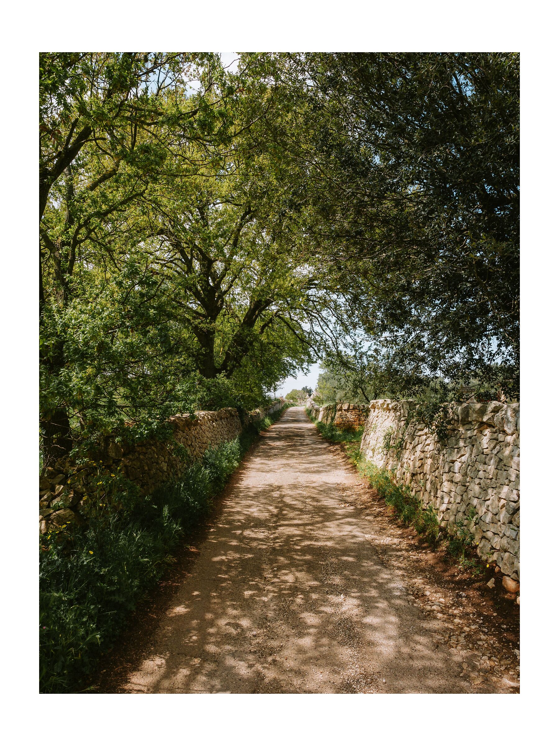 Viale
