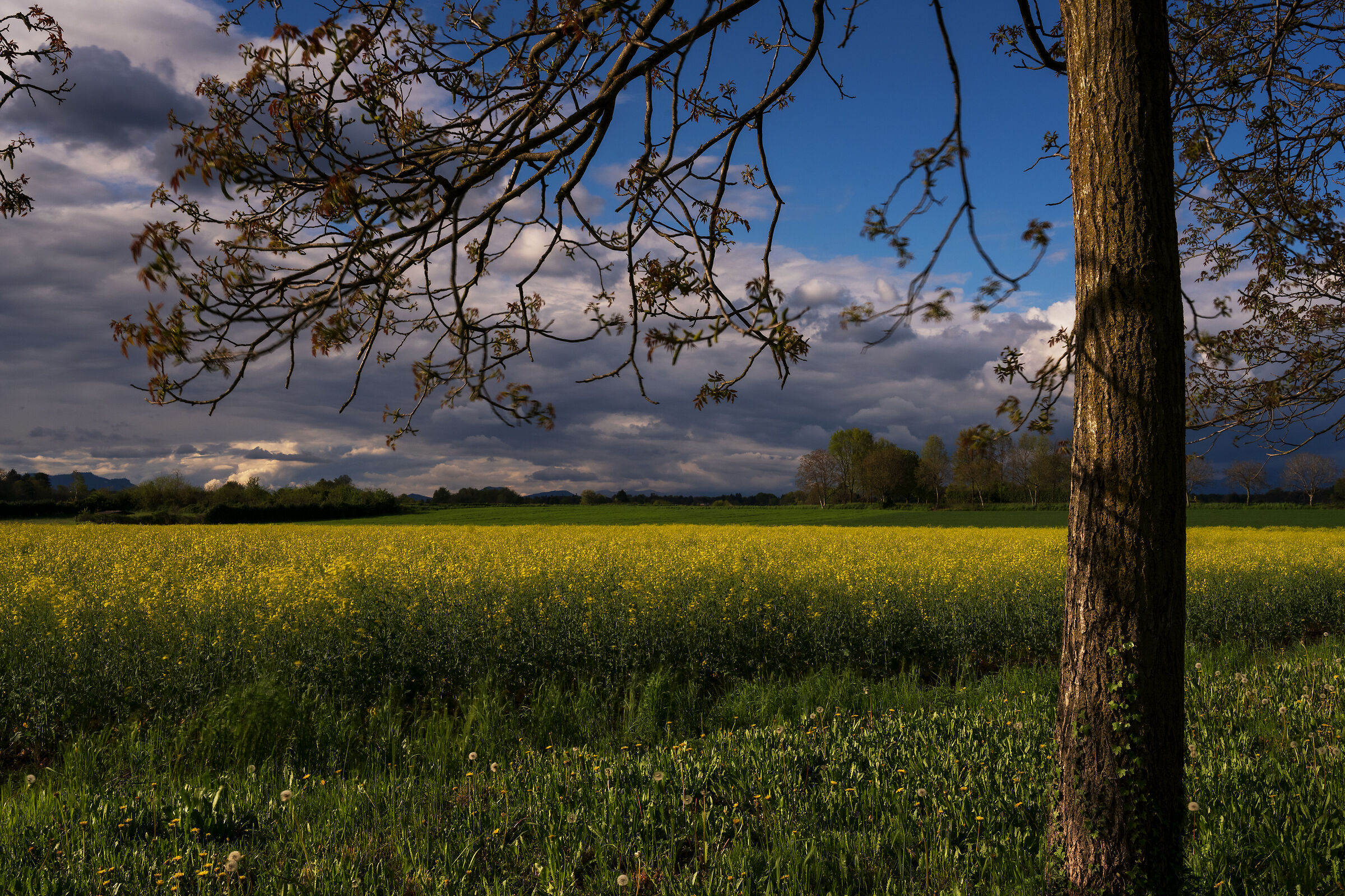 Locatese countryside