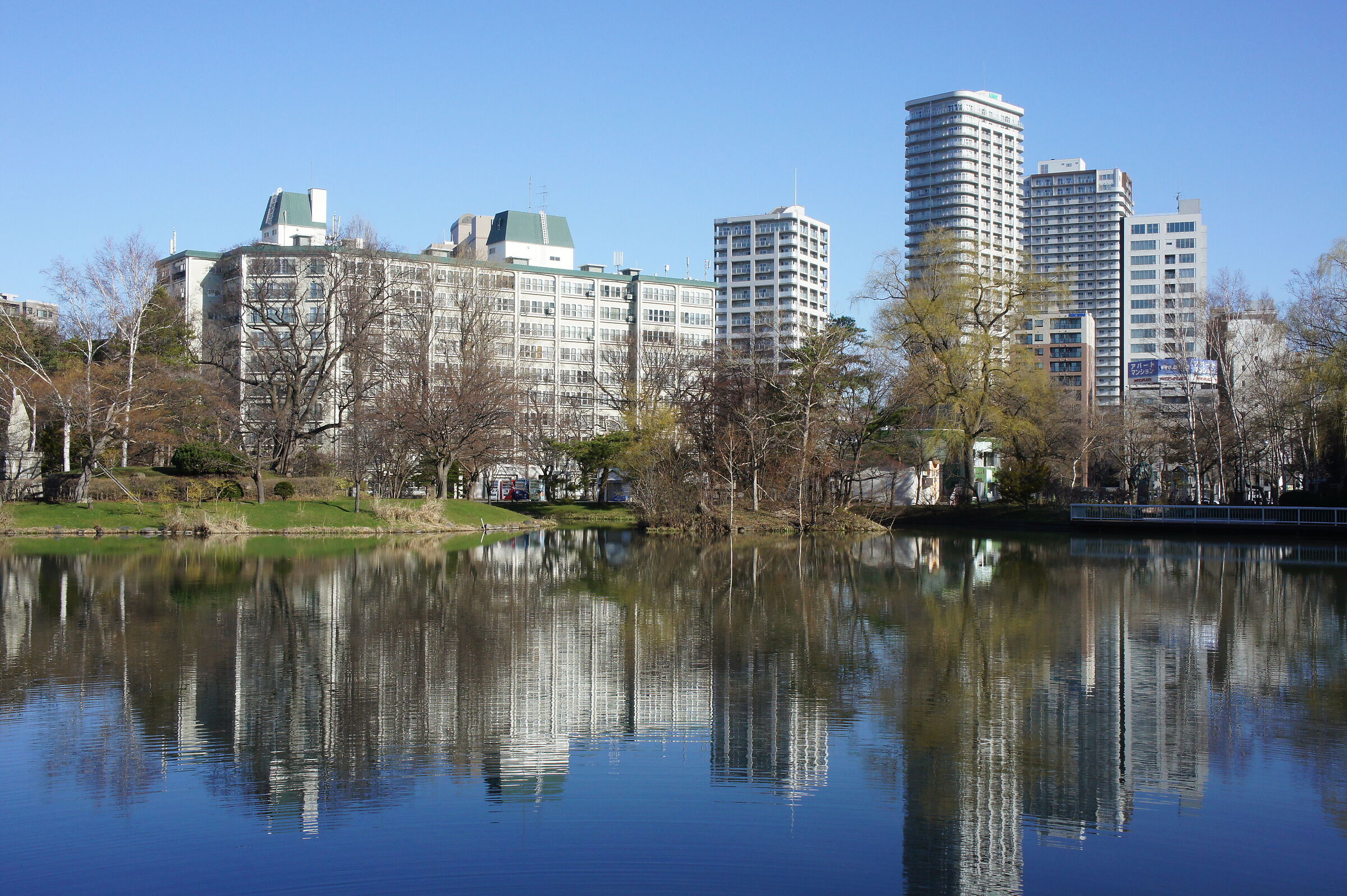 Buildings shining in the morning sun