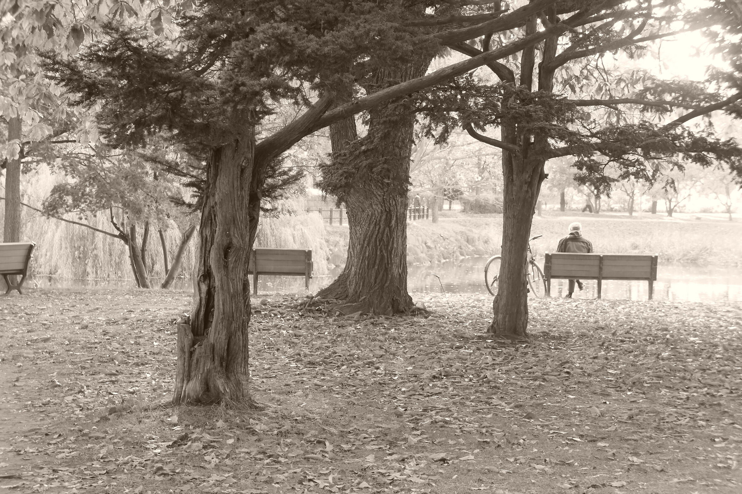 Autumn Rest
