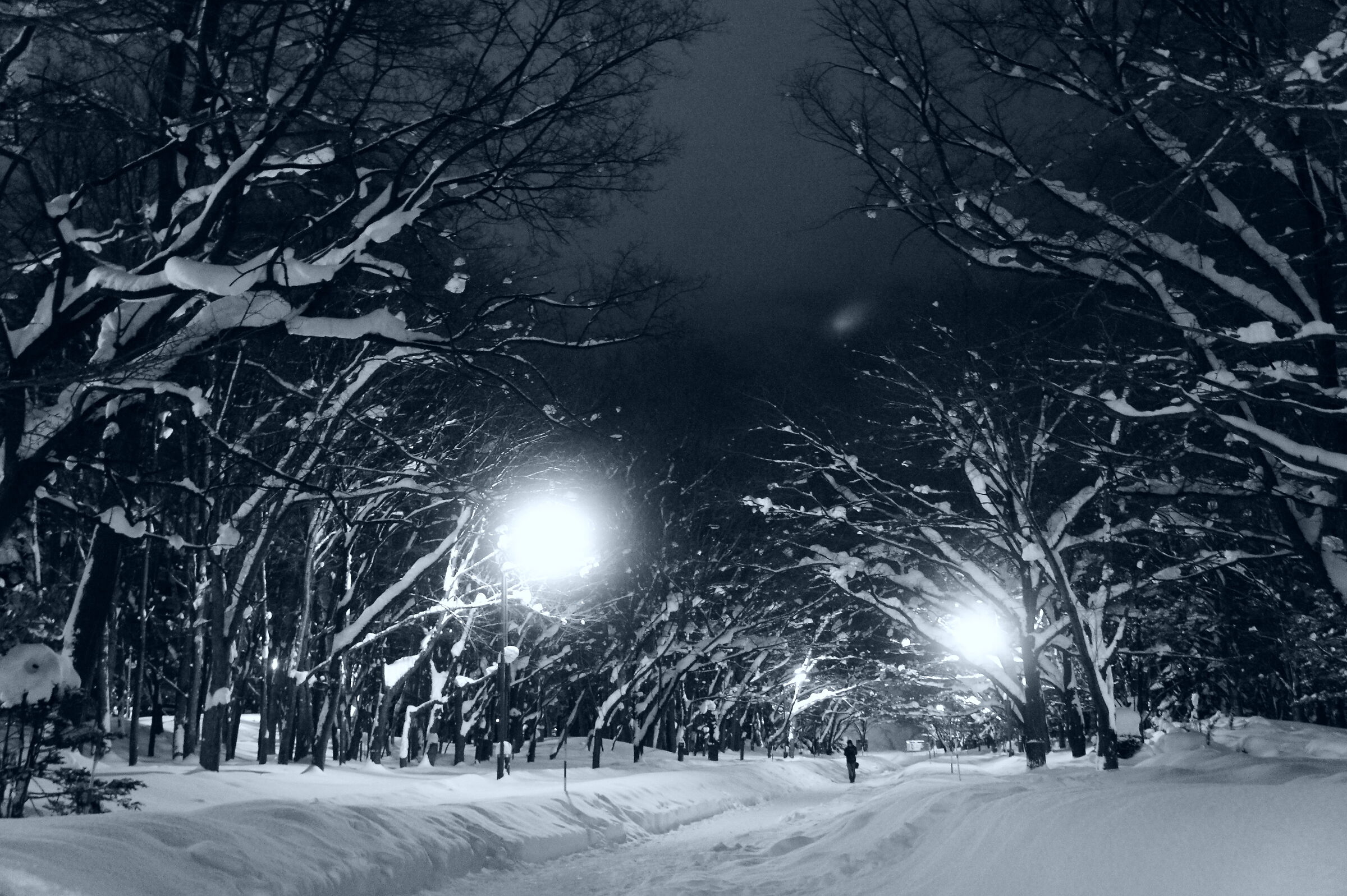 A fantasy memory from a winter day