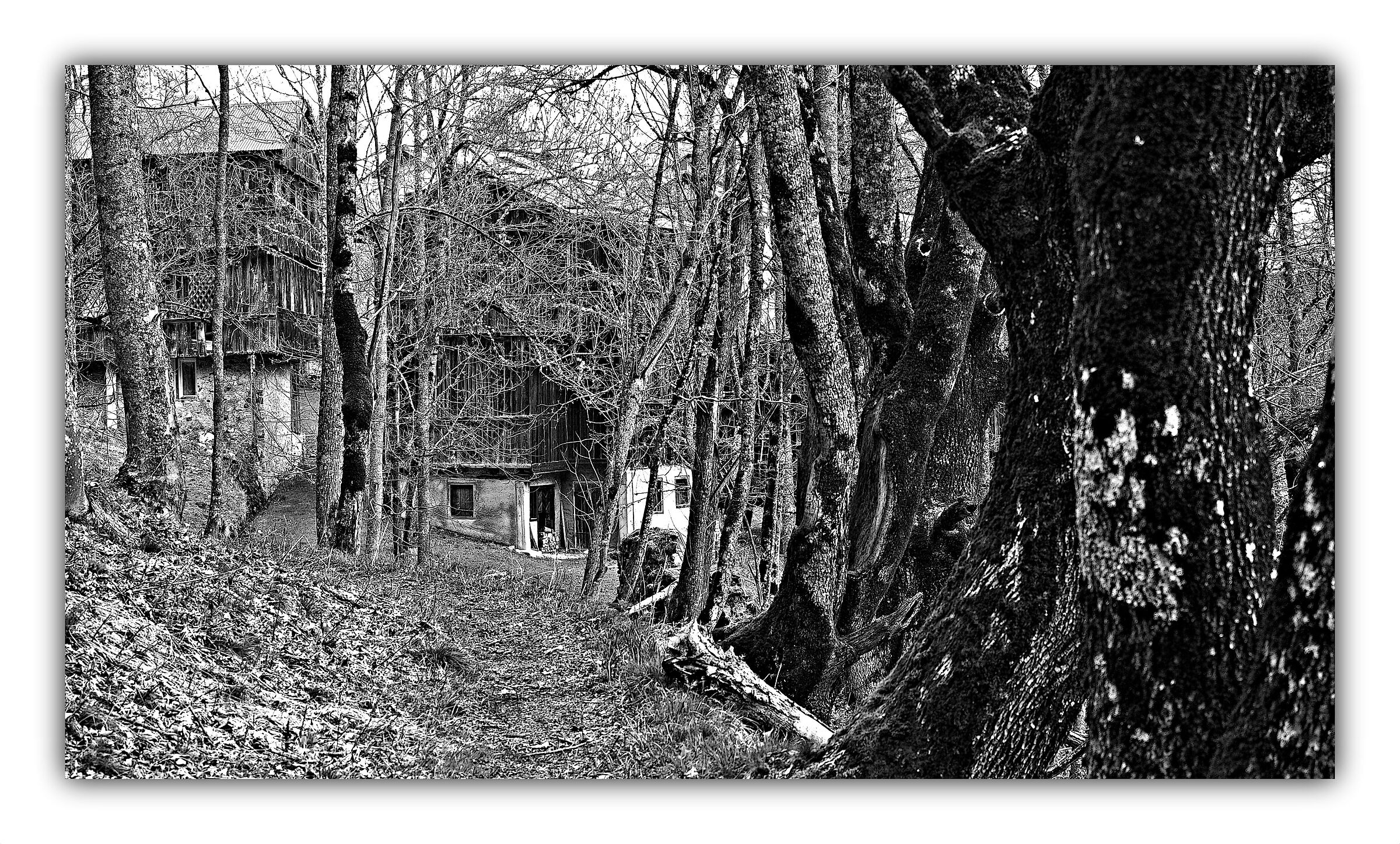 Ingresso a Colcerver