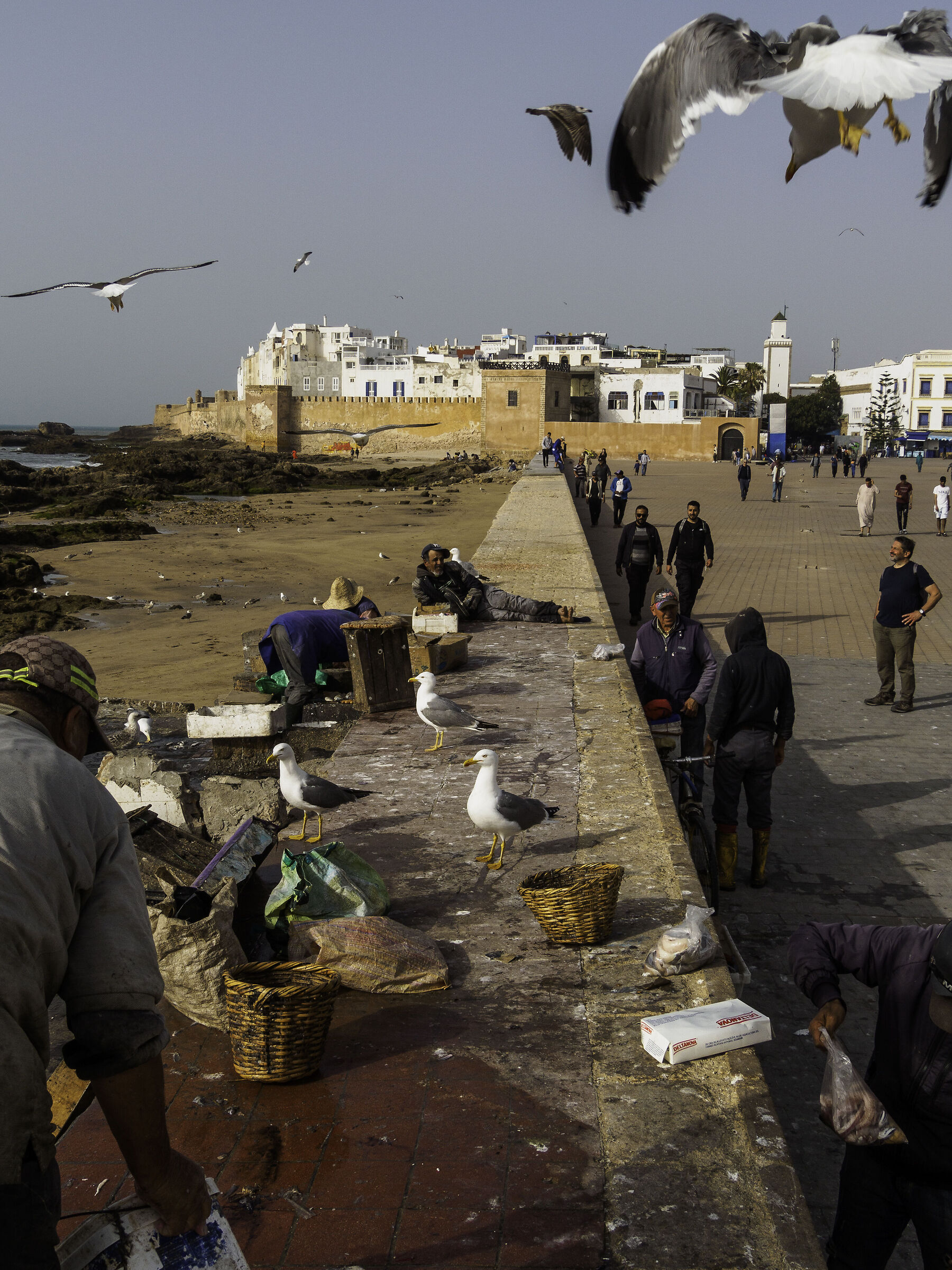 Essaouira