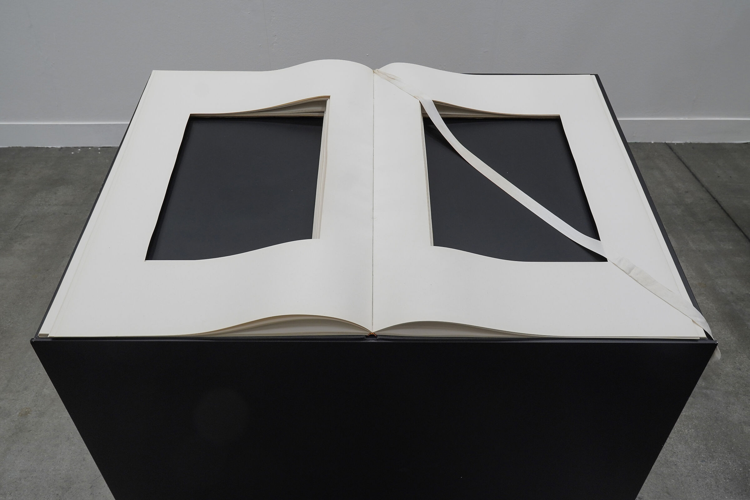 “Libro dimenticato a memoria”