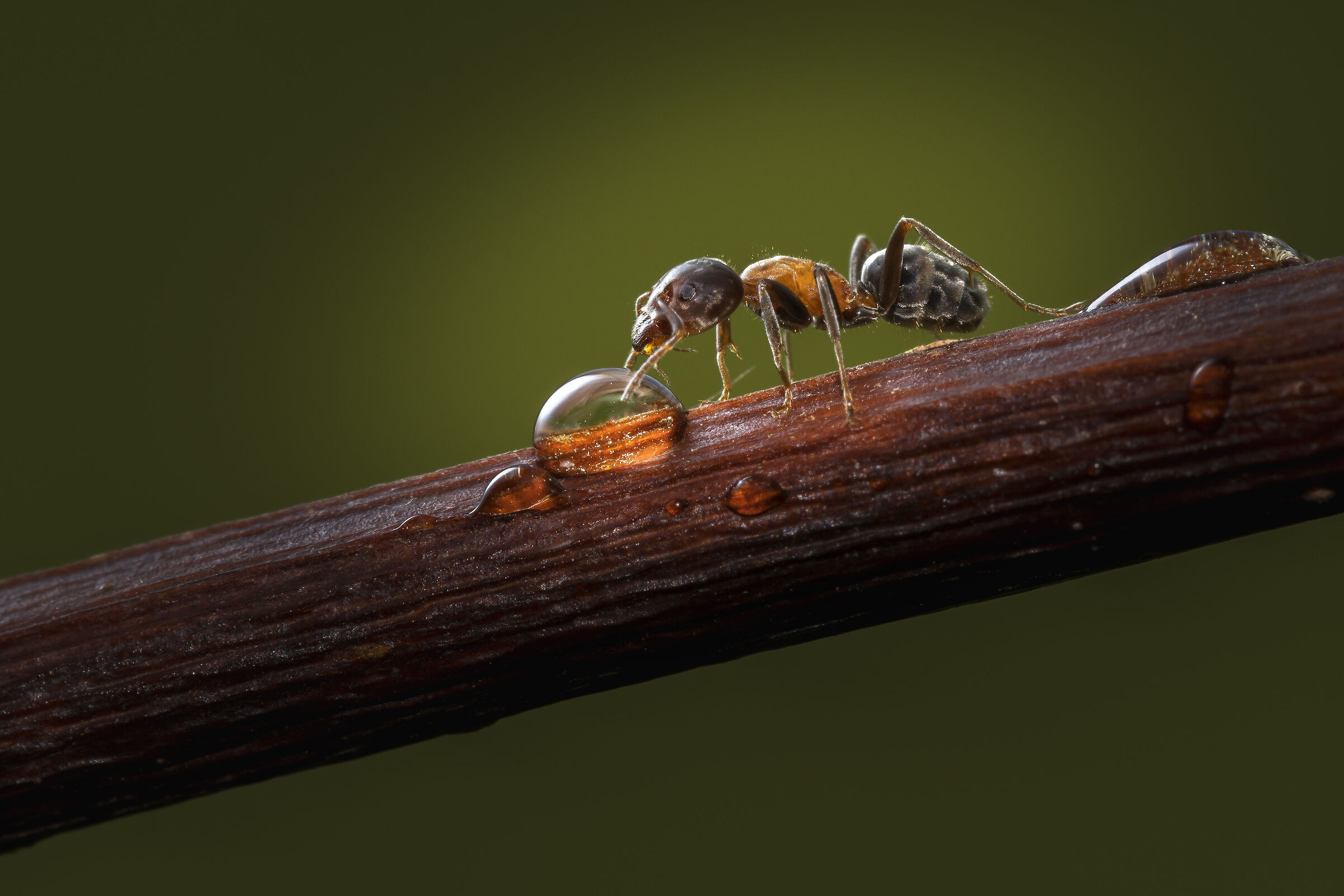 Just like that alone