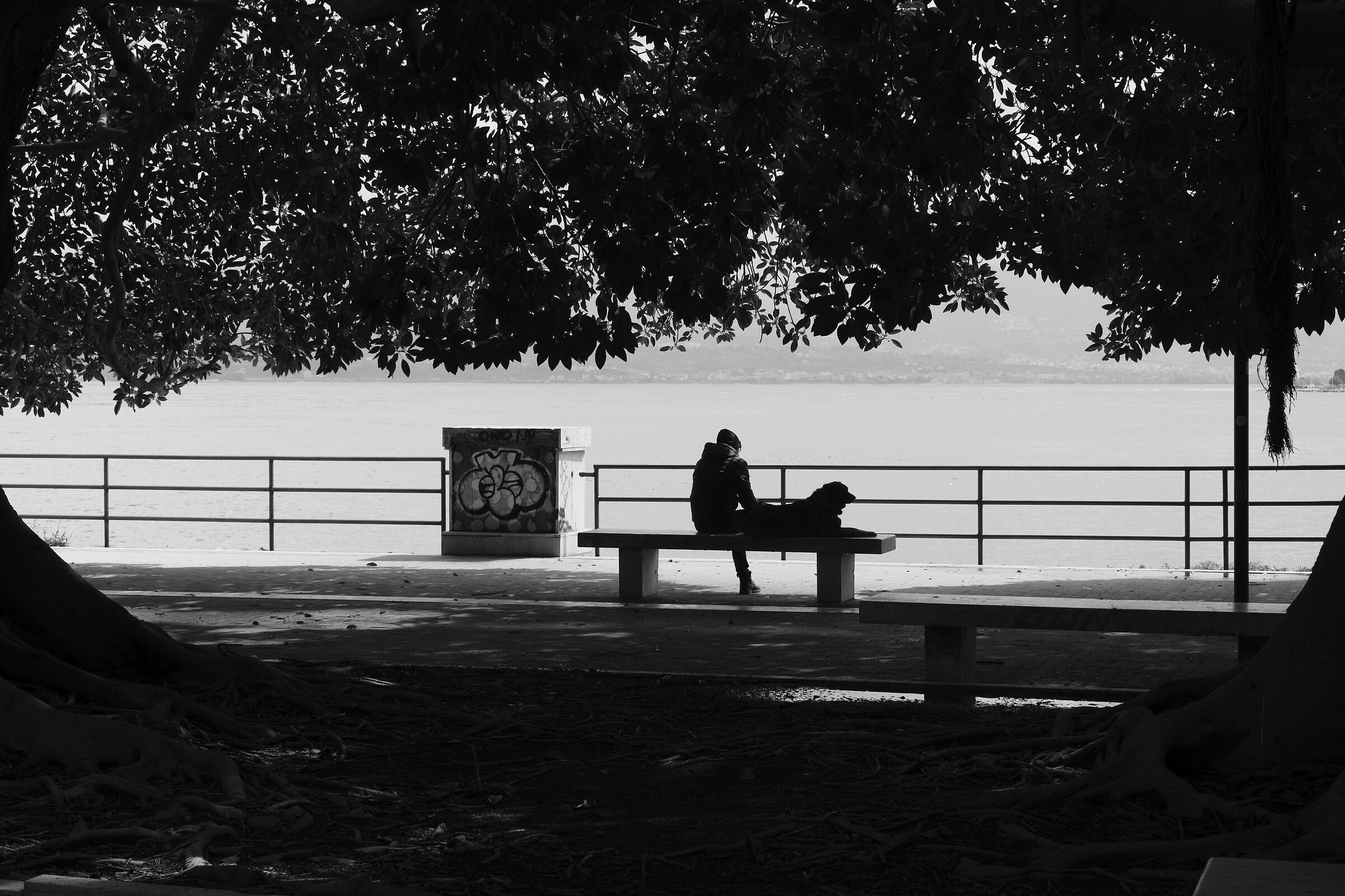 by the sea