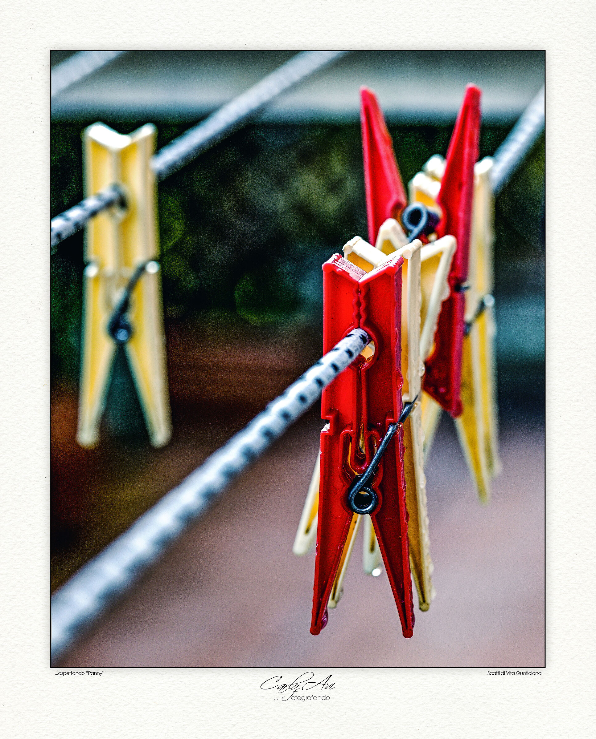 ...aspettando “Panny”