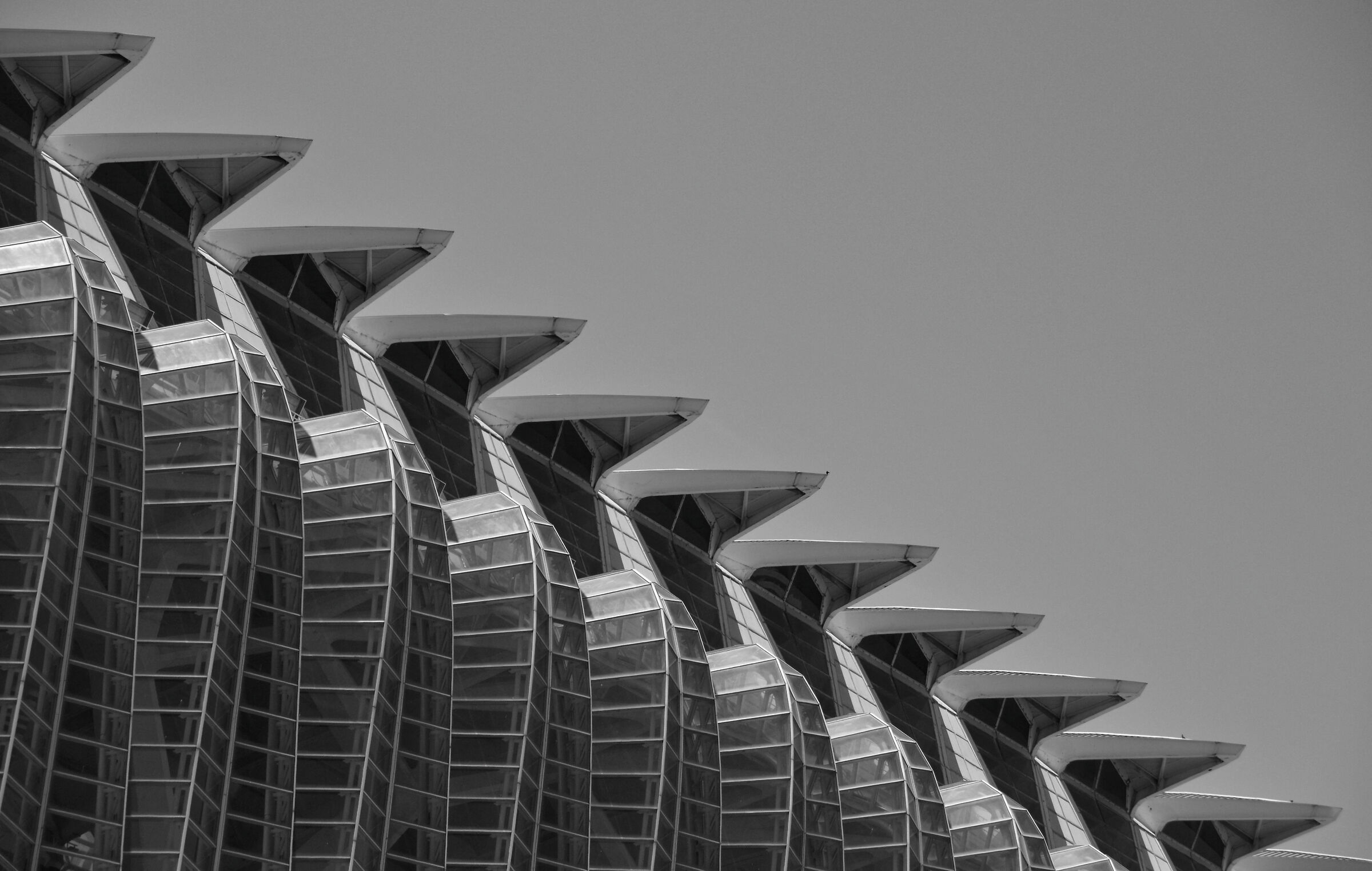 VALENCIA_2014 (_DSC2801-1)