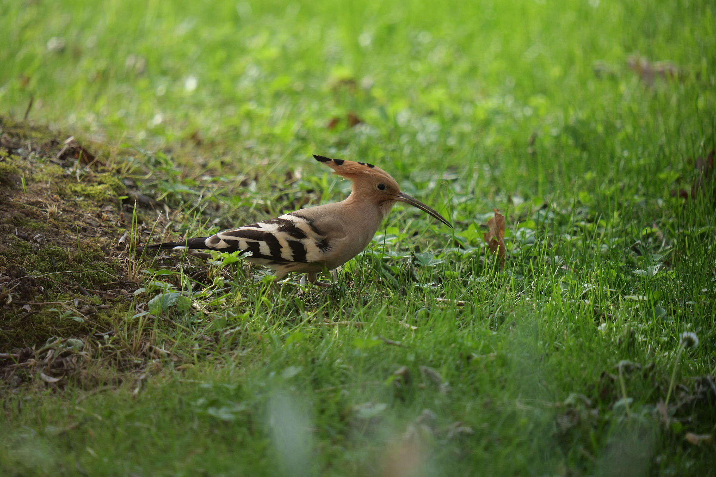 Test s1r2 10 (attraverso vetro)