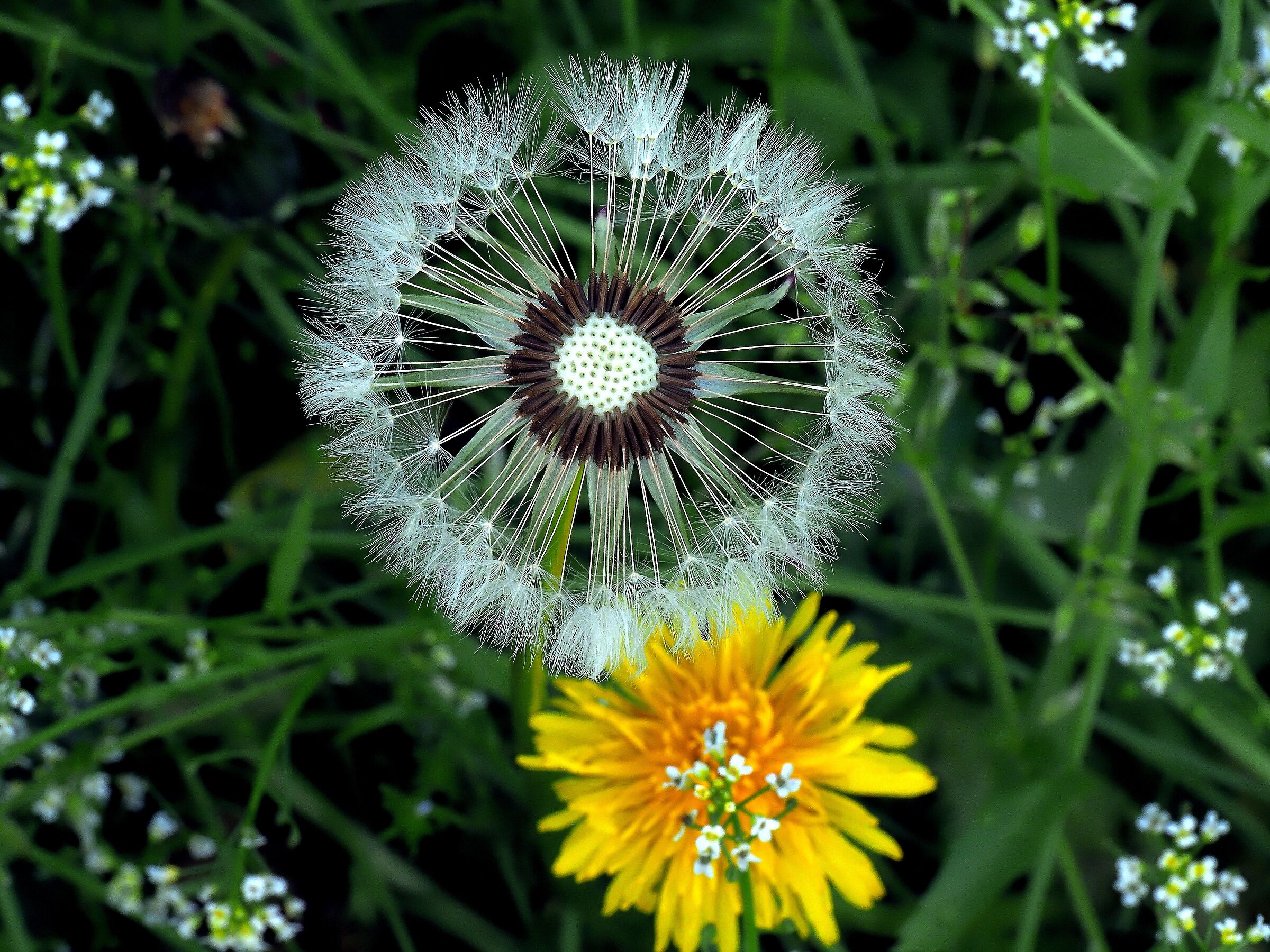 It turns, the world turns...