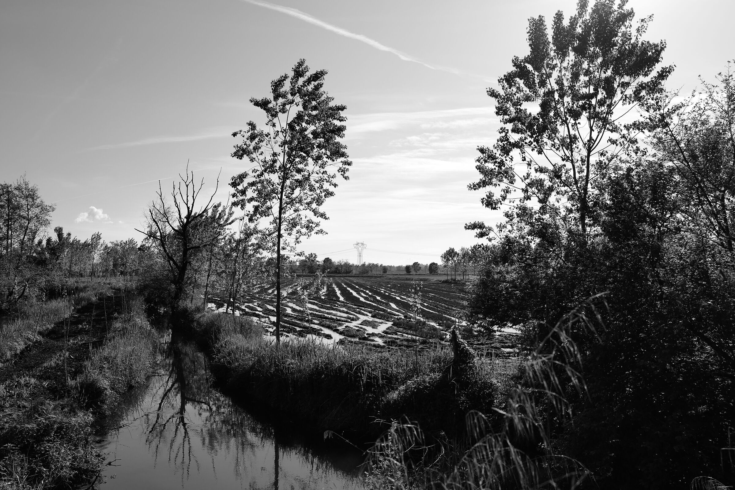 Dopo la piena, quando l'acqua si ritira