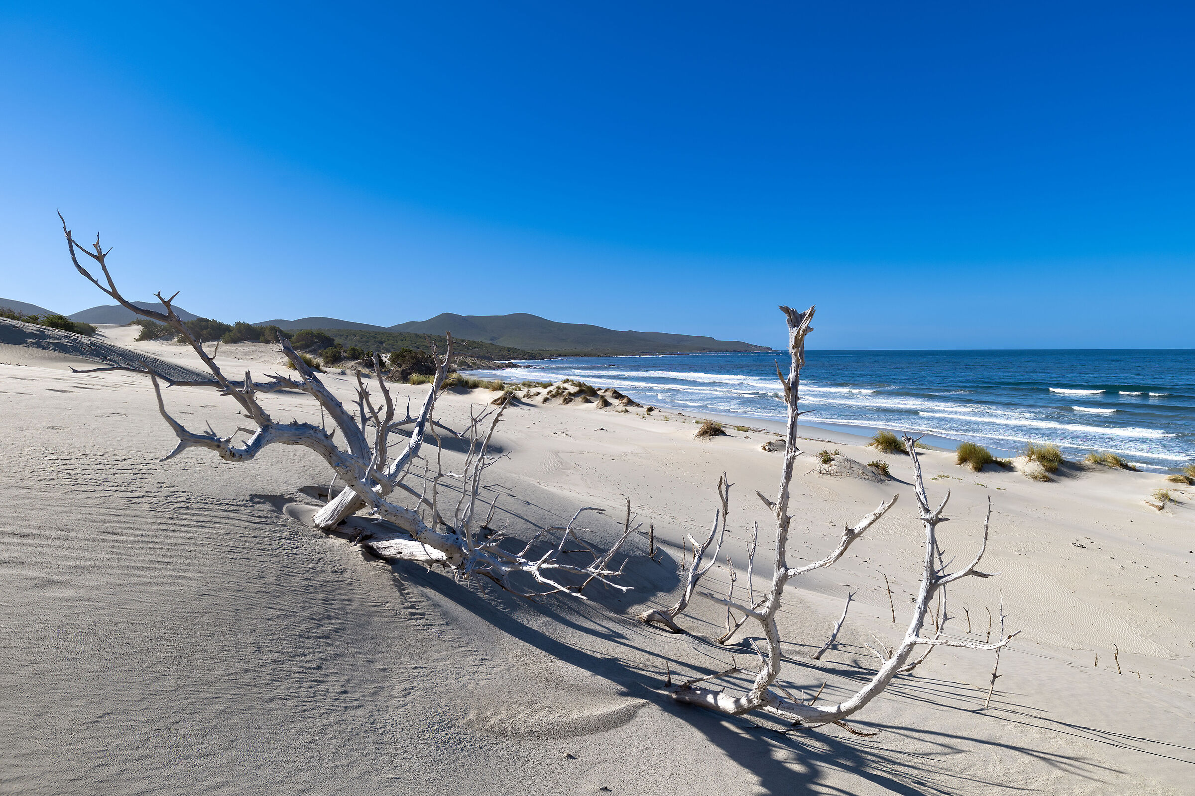 The Dunes - Porto Pino