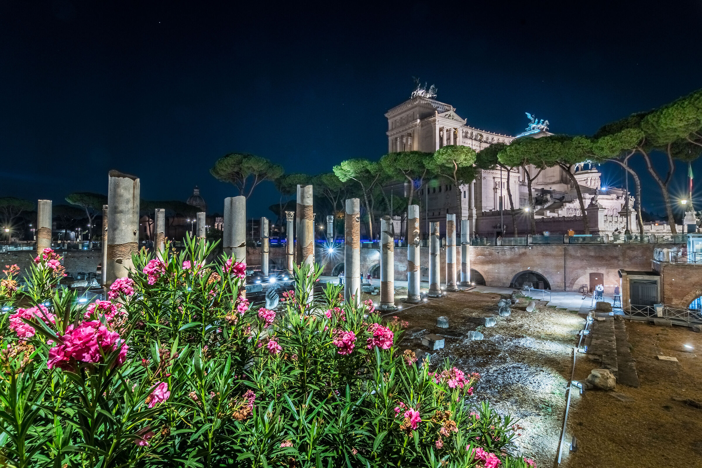 Roman Nocturnes #2
